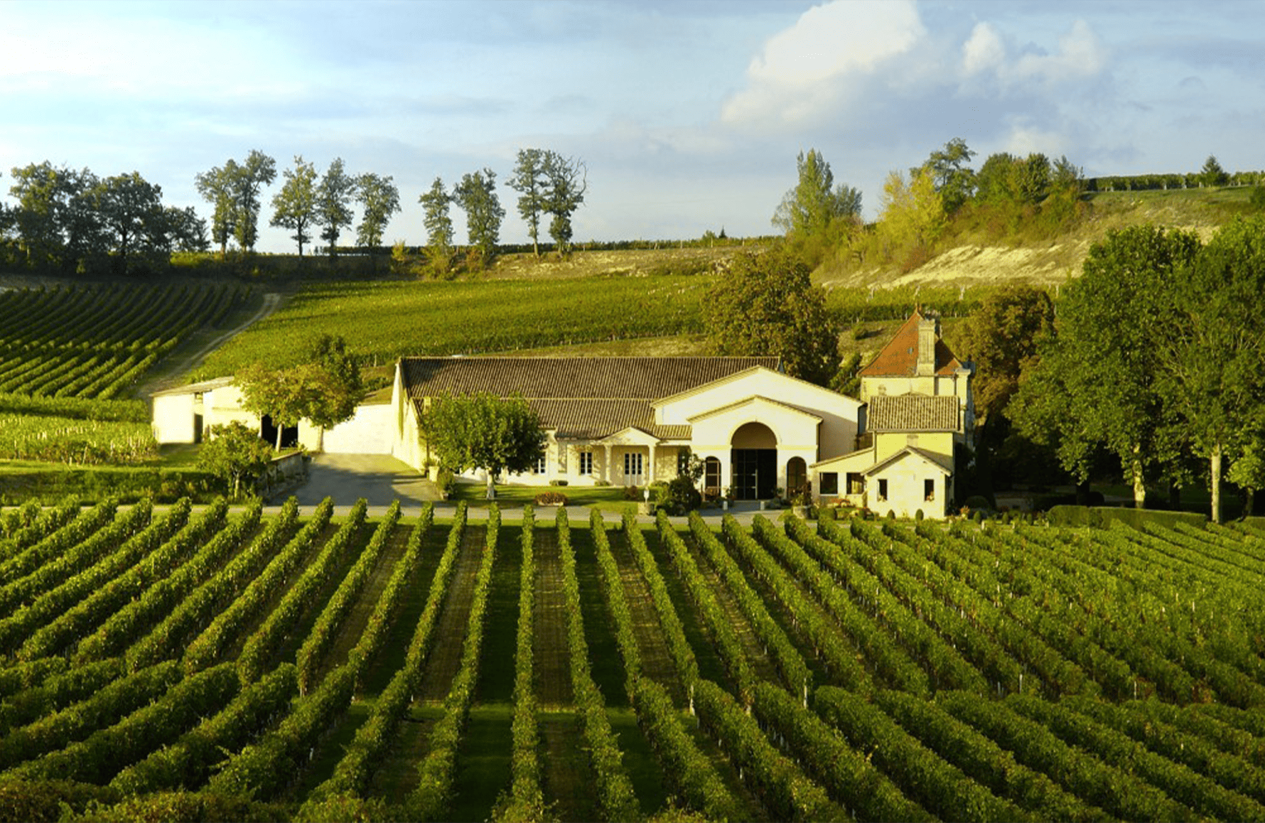 l’histoire du Château Mangot