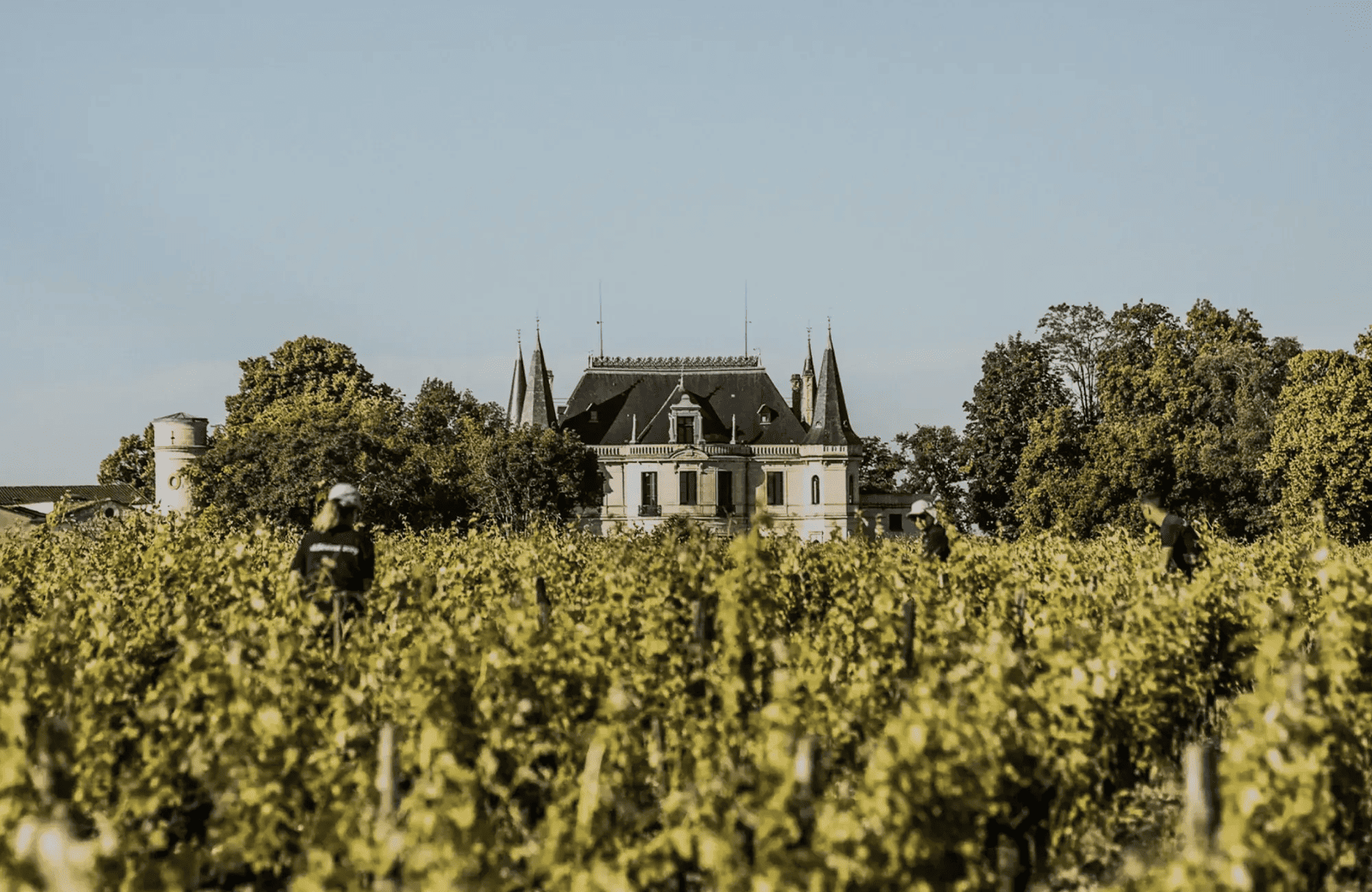 historien om Château Palmer