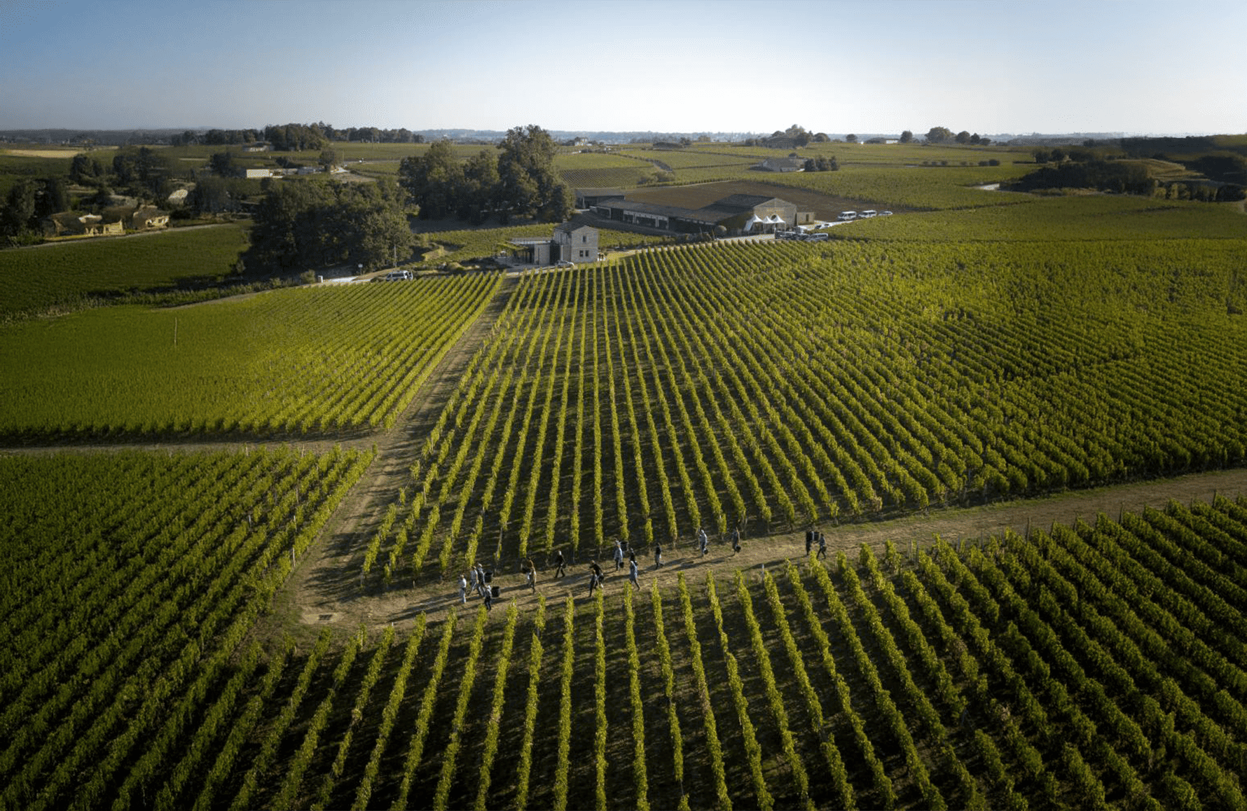 historien om Château Pavie Macquin