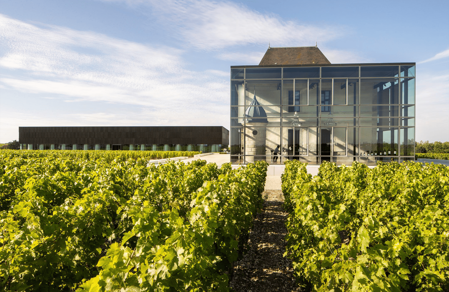 historien om Château Pedesclaux