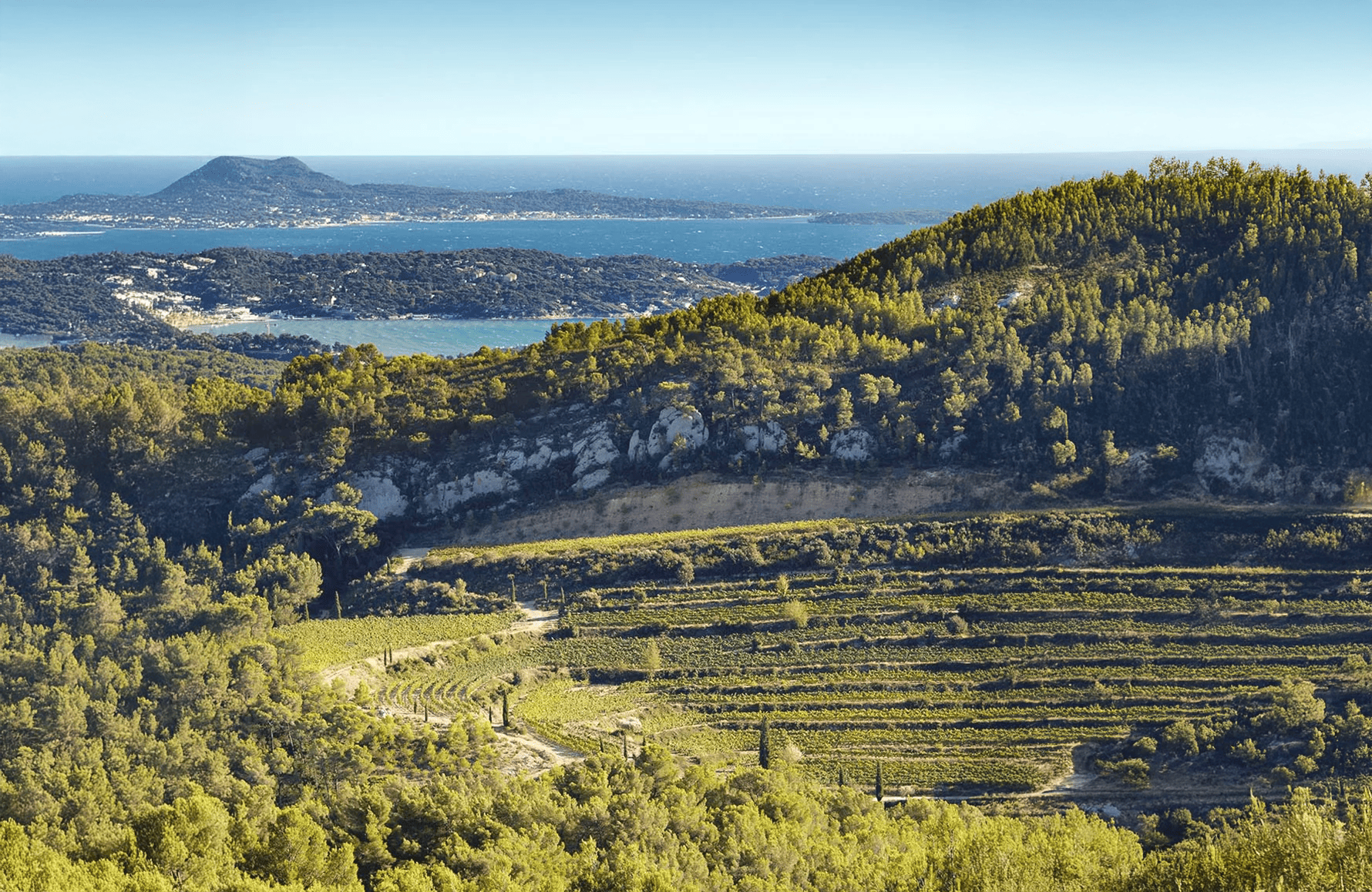 l’histoire du Château de Pibarnon