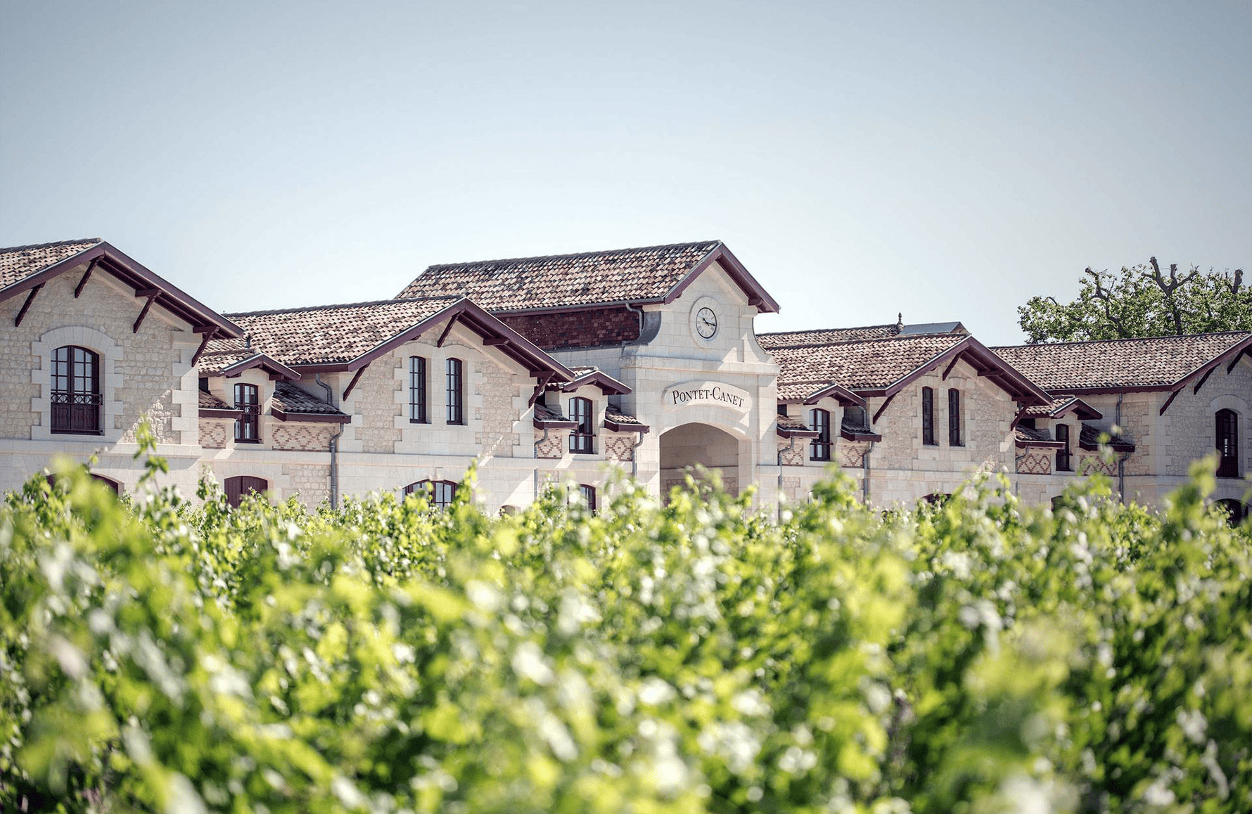 l’histoire du Château Pontet-Canet