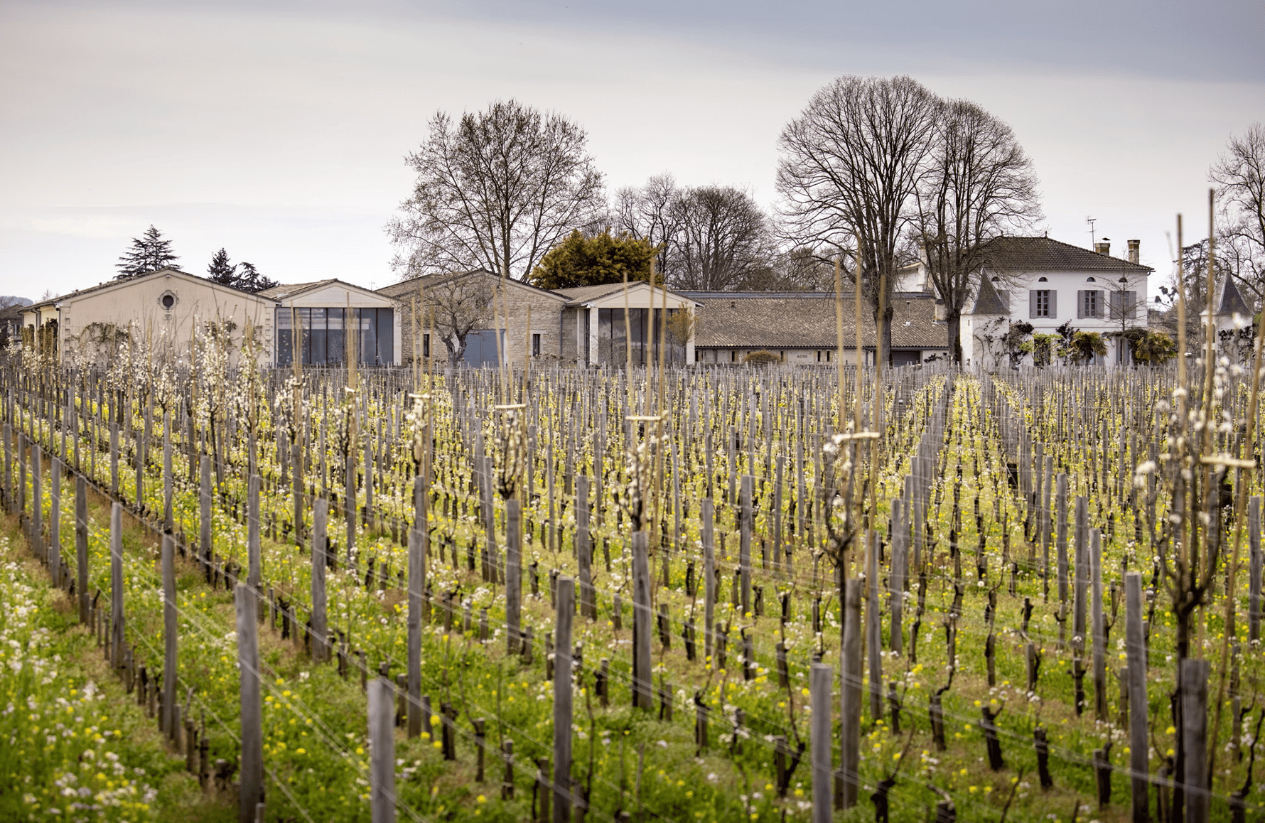 historien om Château Quinault L'Enclos