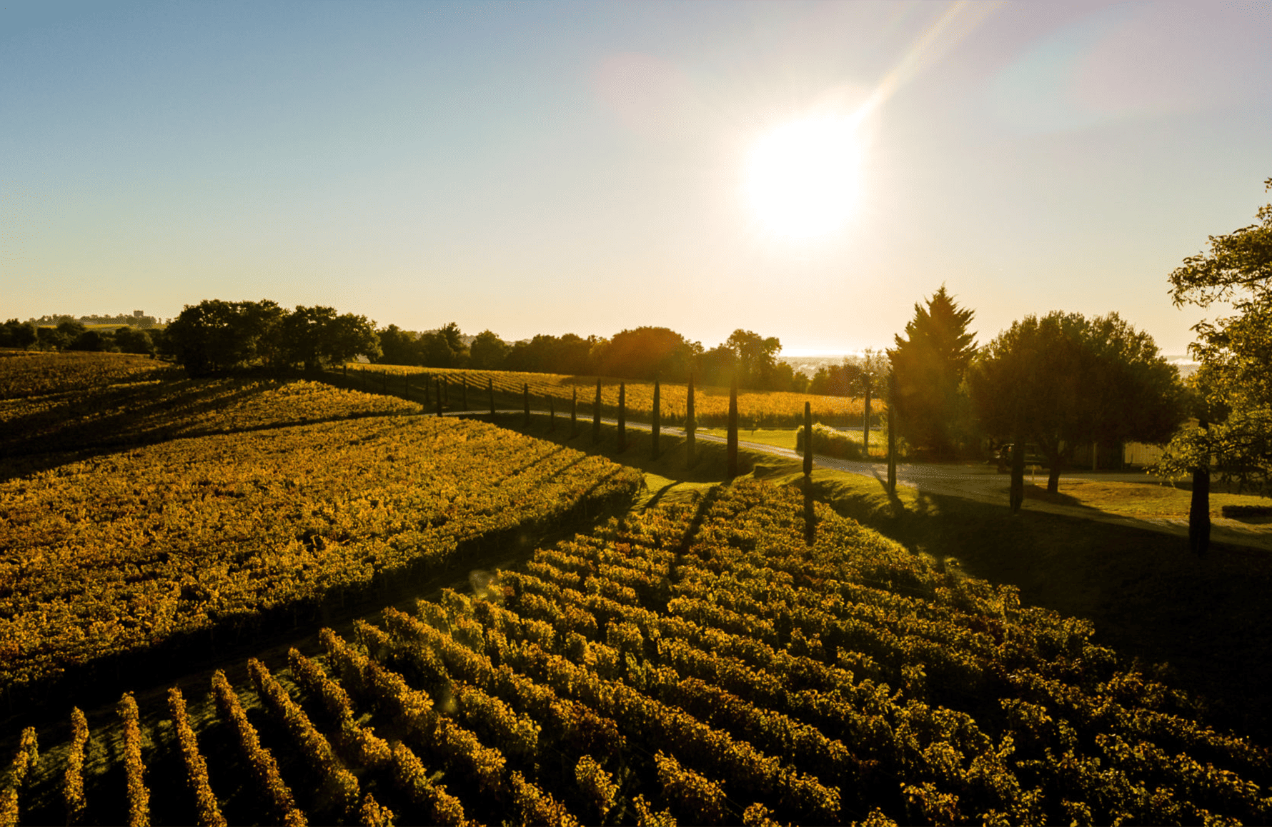 the story of Quintus Castle