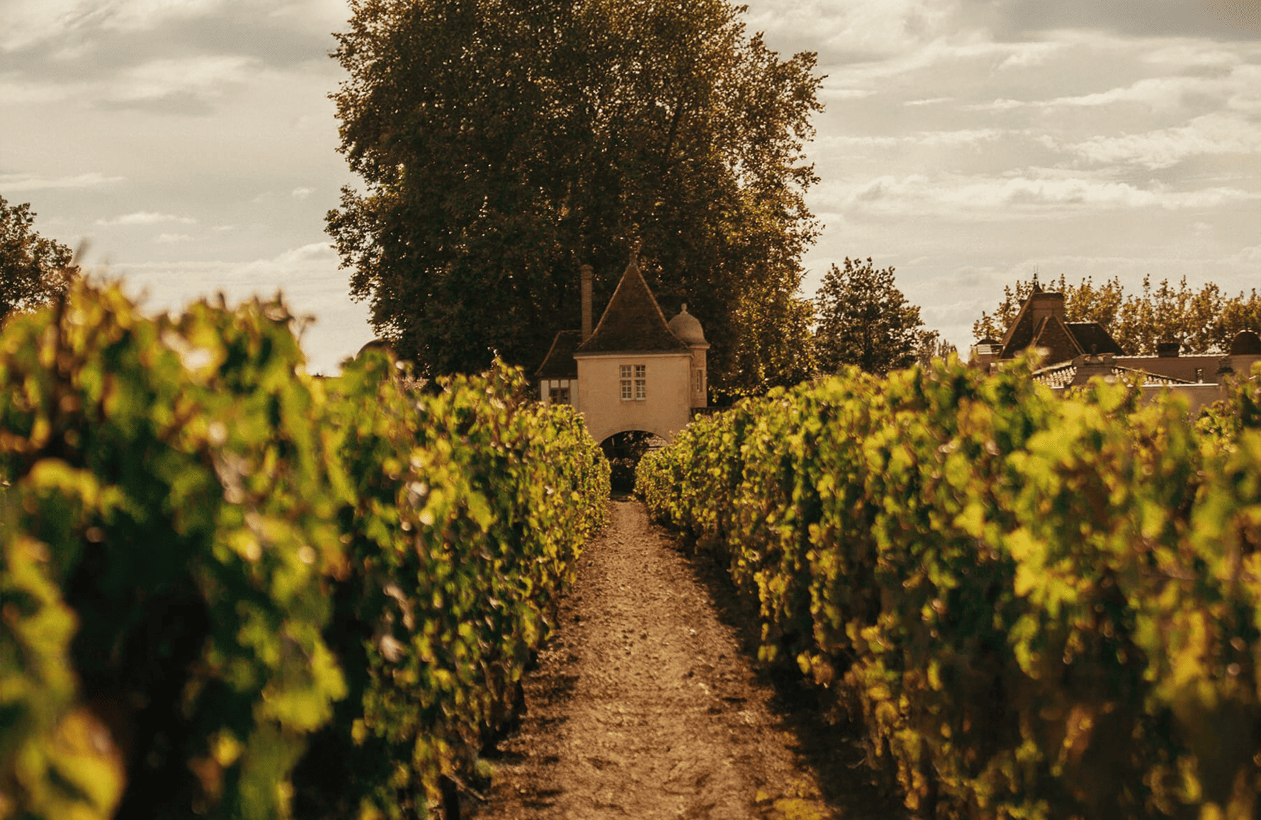 historien om Château Rauzan-Ségla