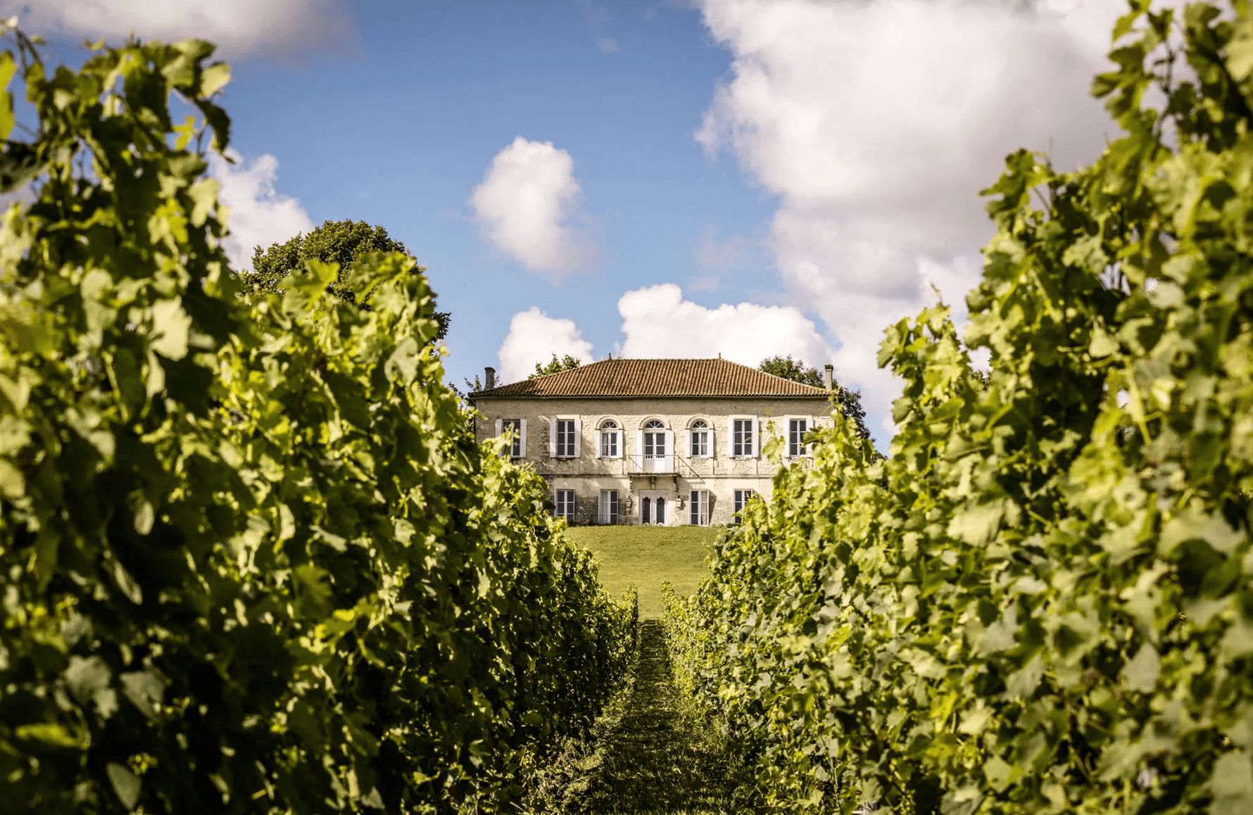 l’histoire du Château Reysson