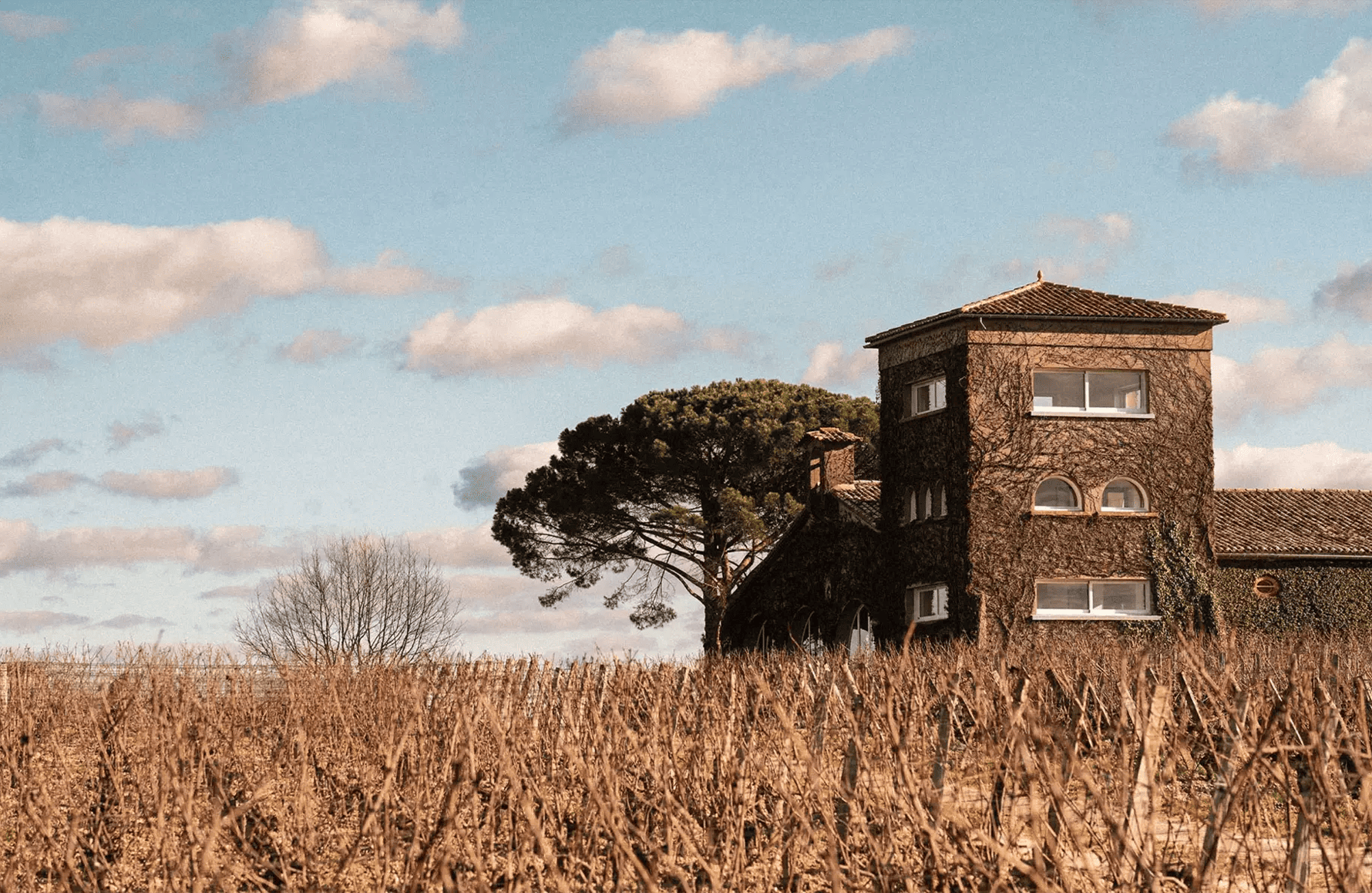 l’histoire du Château Rieussec