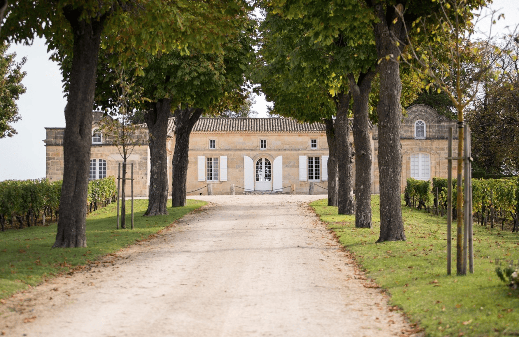 historien om Château Trotte Vieille