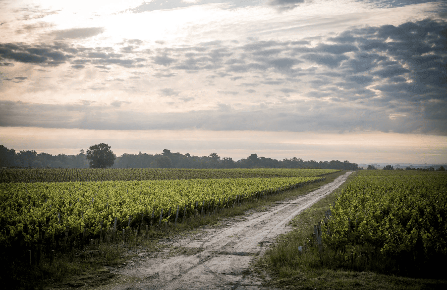 historien om Château de Camensac