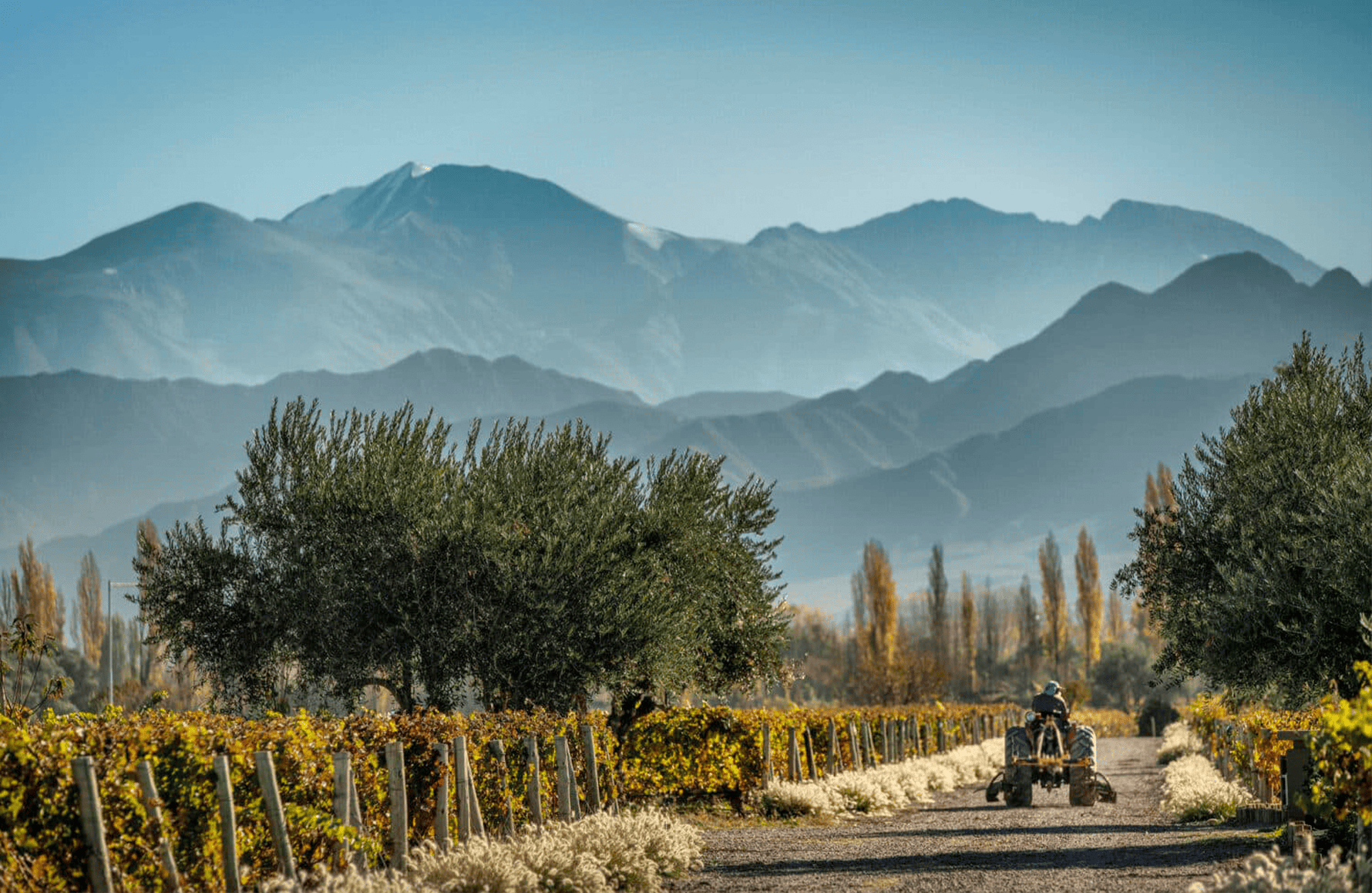 l’histoire du Cheval des Andes - Argentine