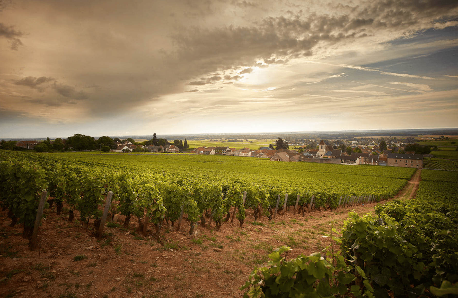 historien om Clos de Tart