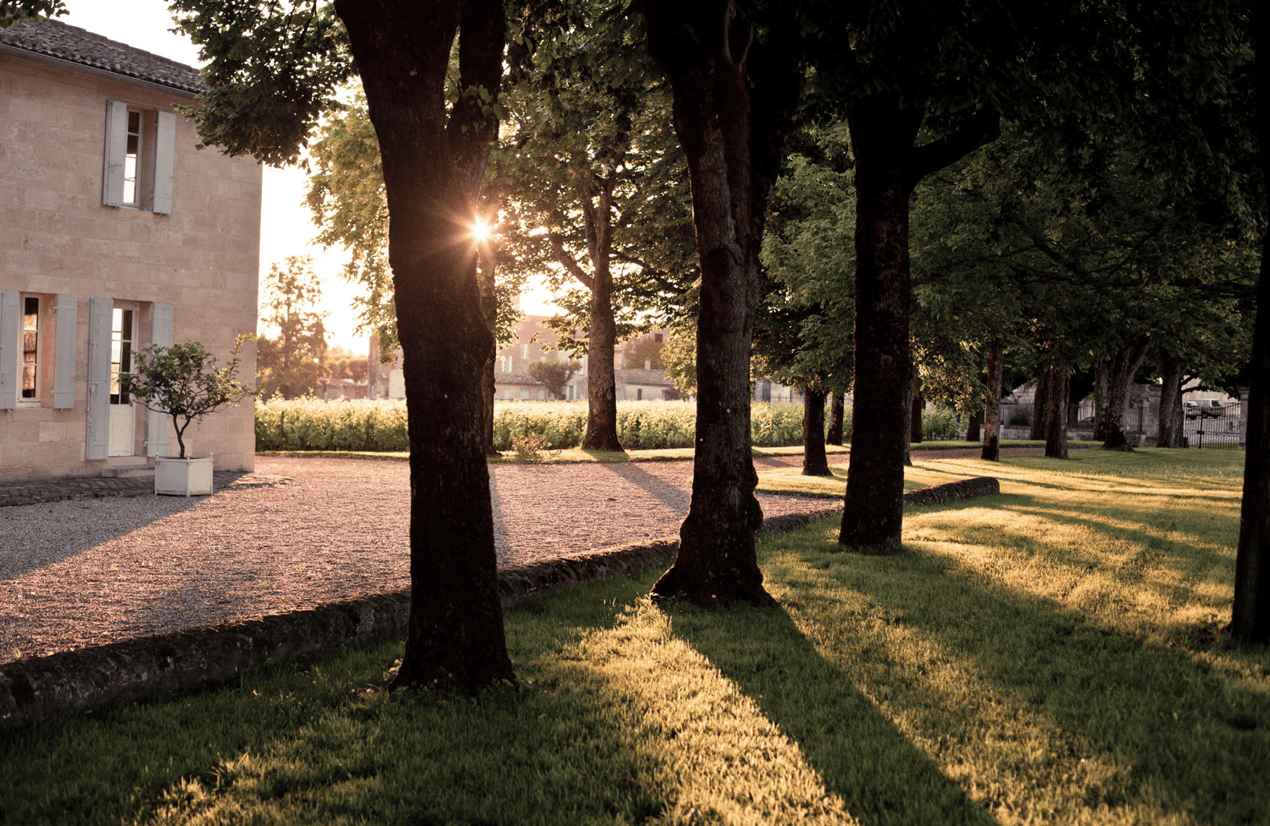 l’histoire du Clos Fourtet