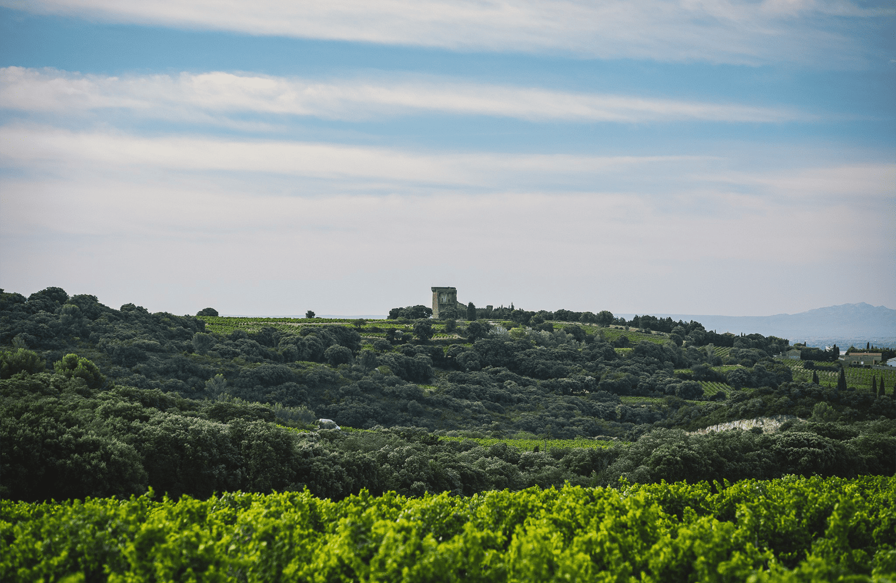 l’histoire du Clos Saint-Jean