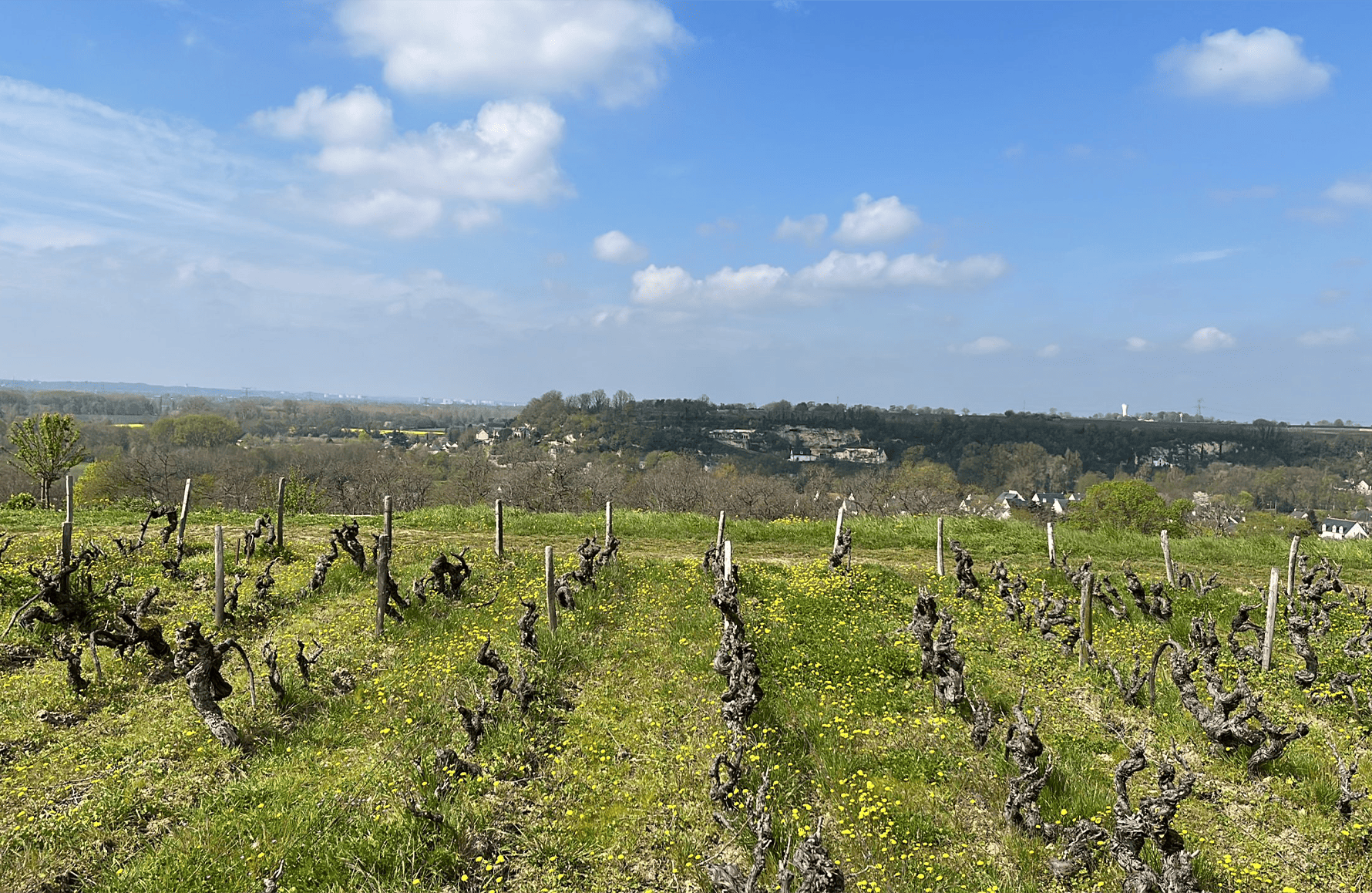historien om Clos Thierrière