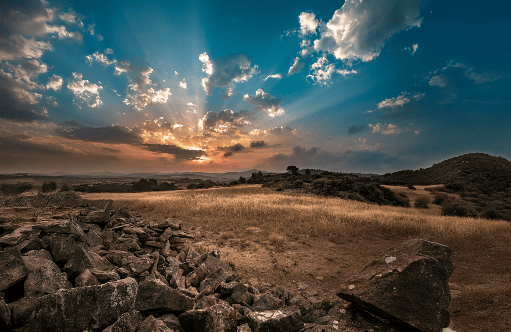 historien om Domaine Anne Gros et Jean-Paul Tollot