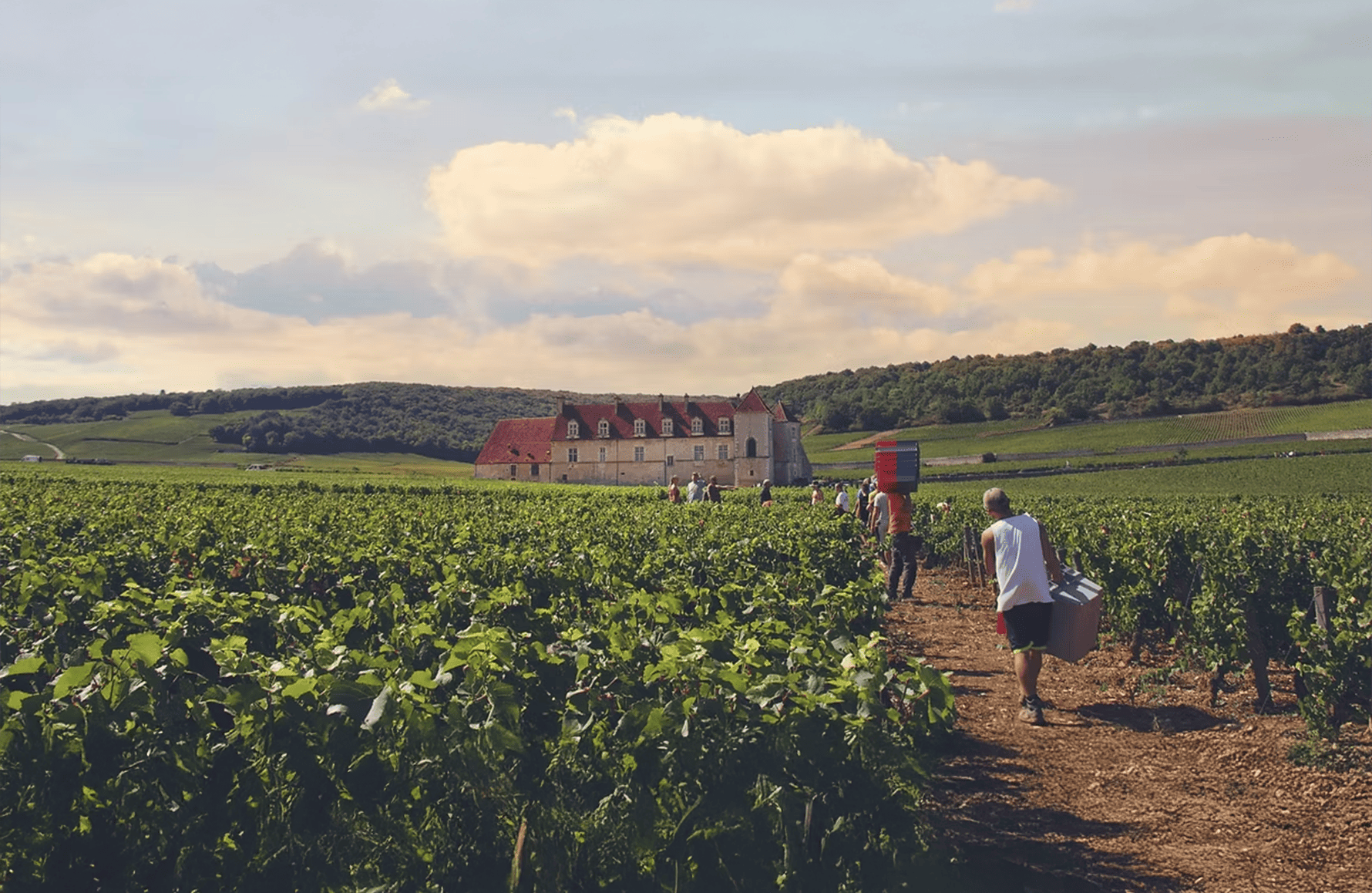 the story of Bertagna Estate