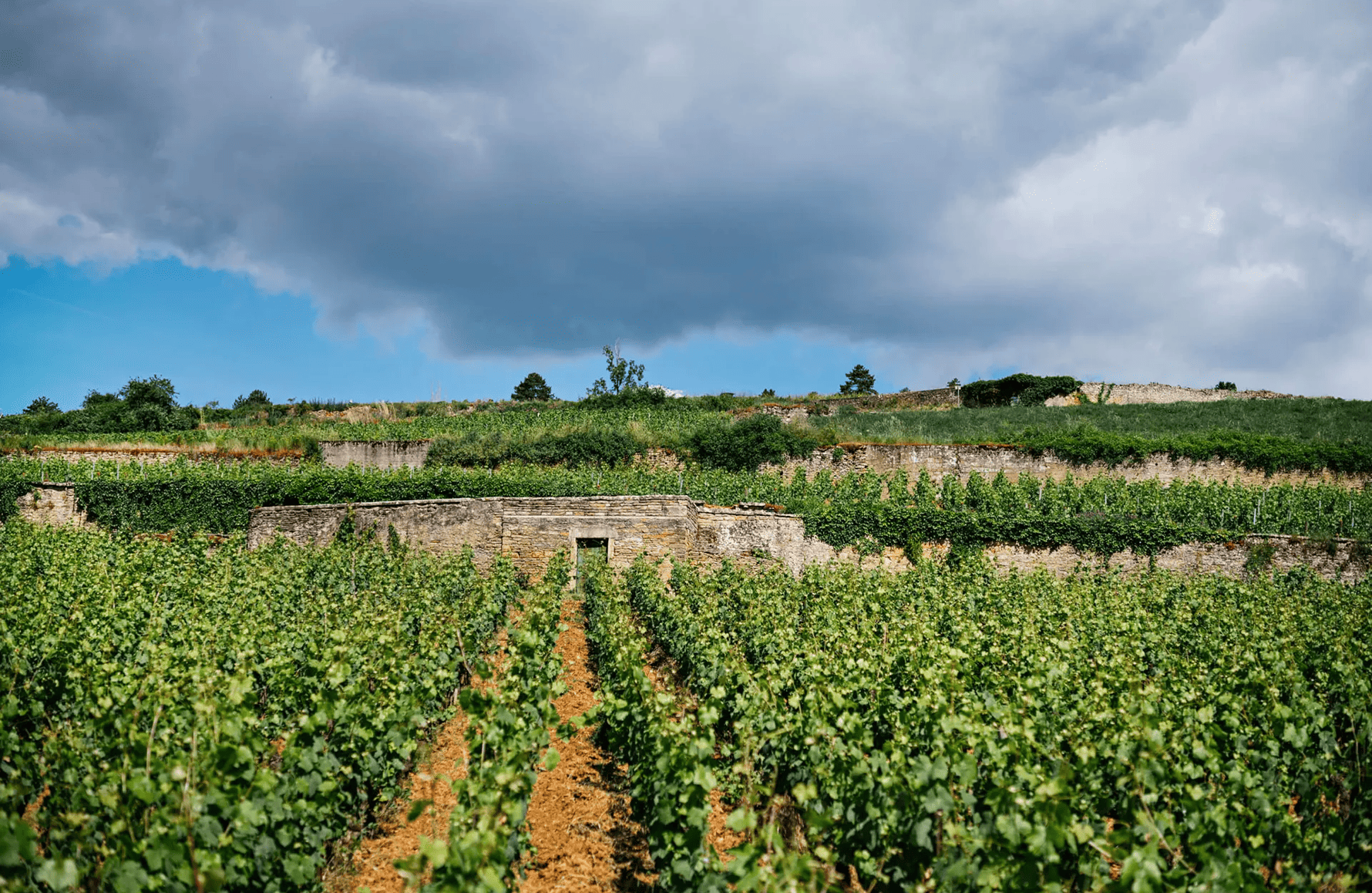 historien om Domaine Chanson