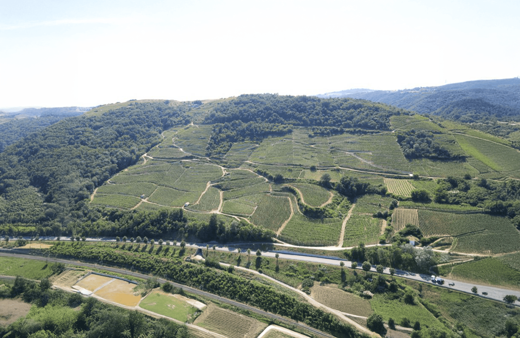 historien om Domaine Coursodon