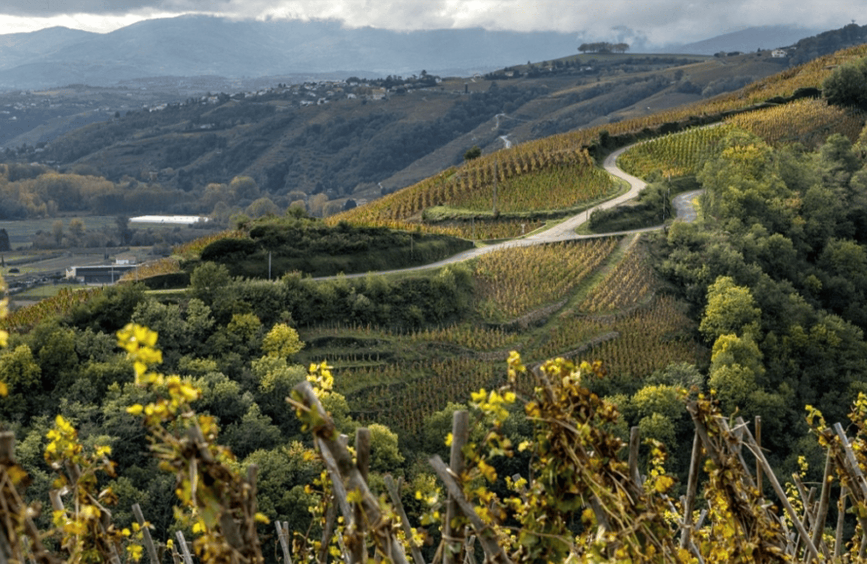 historien om Domaine de Bonserine