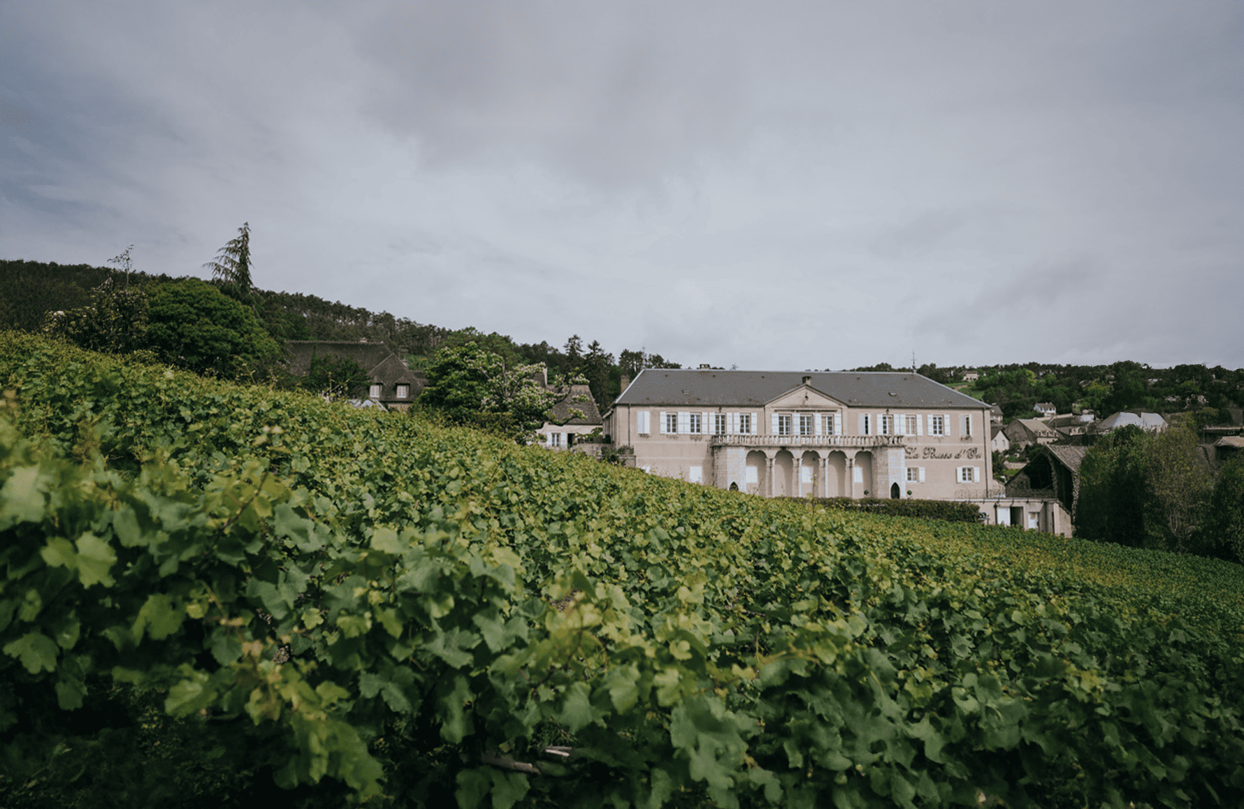the story of Domaine de La Pousse d'Or