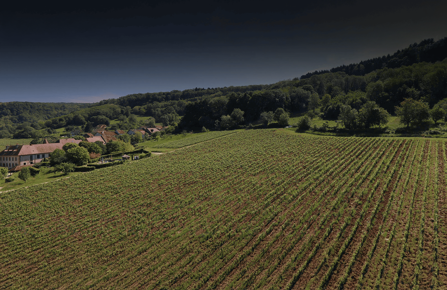 historien om Domaine du Pélican