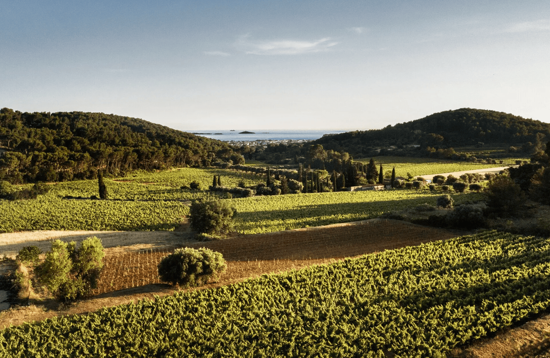 the story of Terrebrune Estate