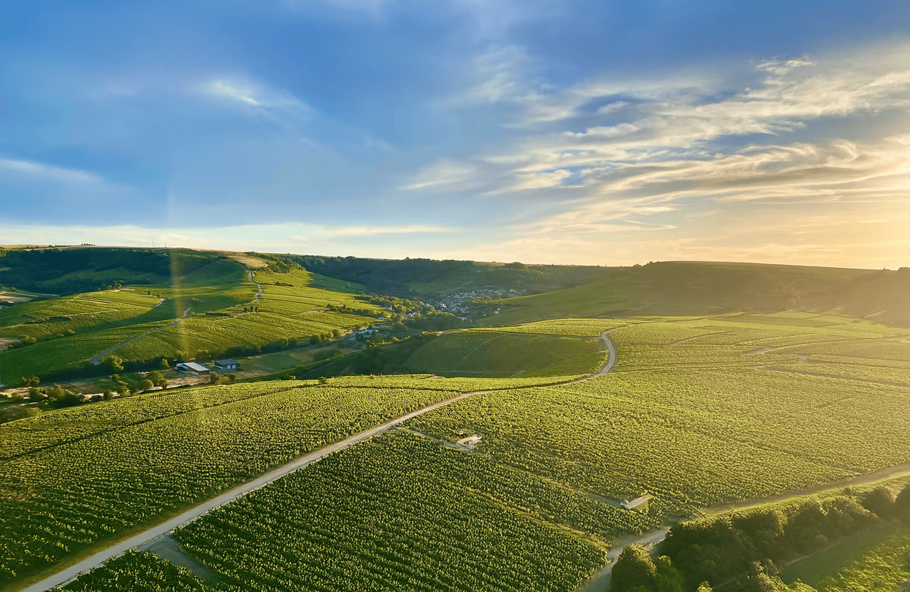 l’histoire du Domaine Vincent Delaporte et Fils