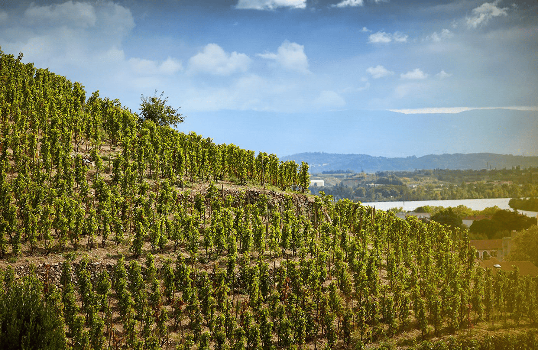 historien om Delas Frères