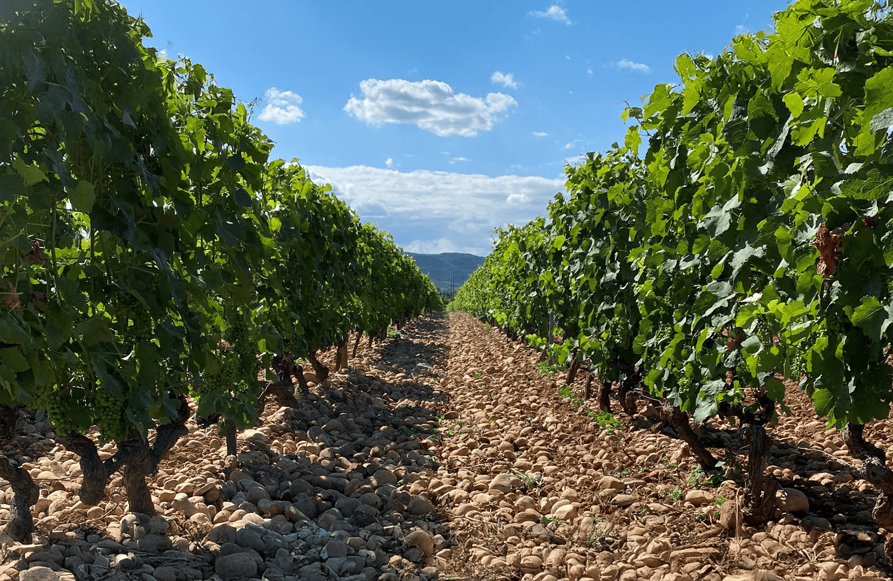 historien om Domaine des Hauts-Châssis