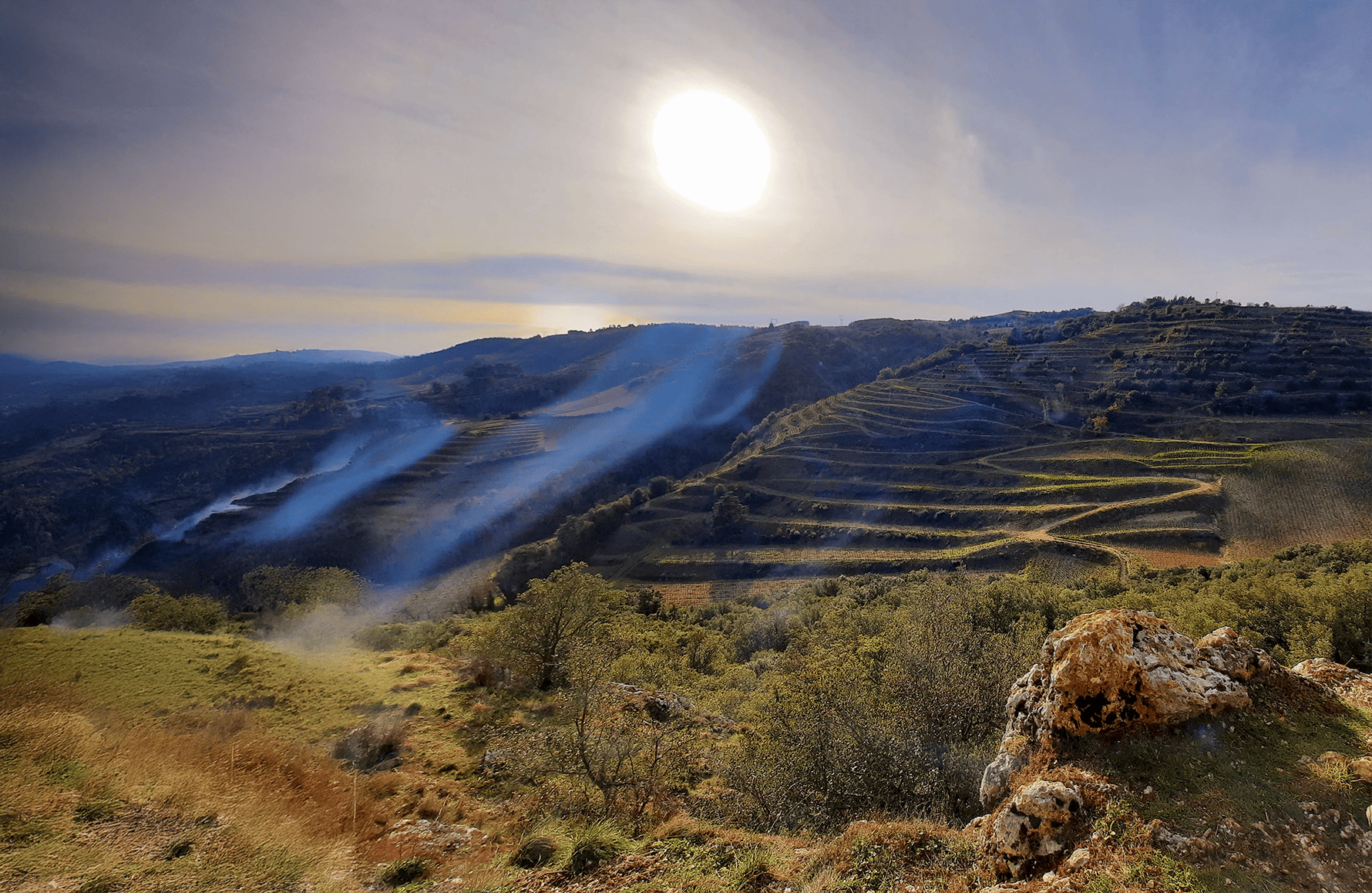 l’histoire du Domaine du Coulet