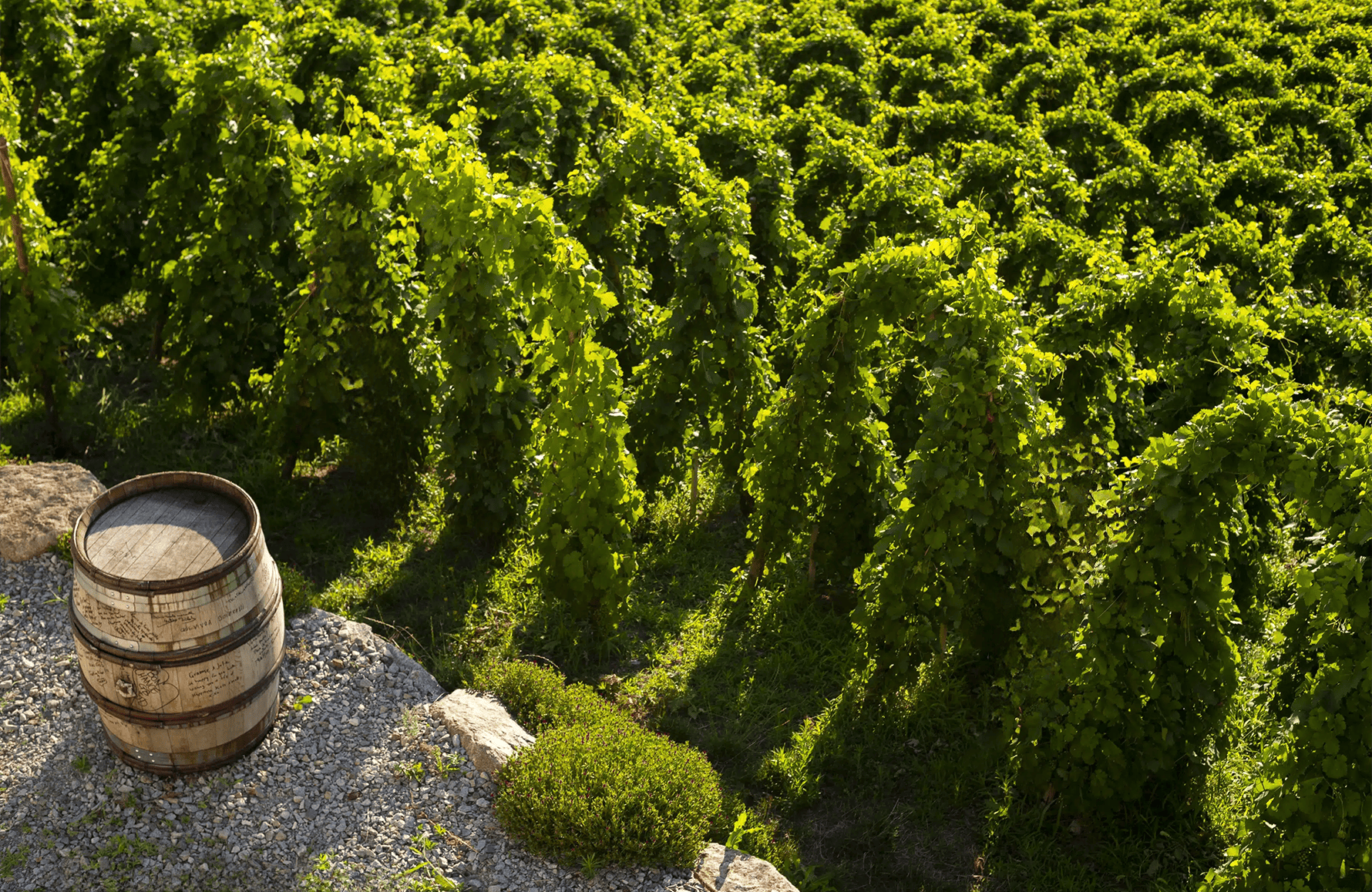 the story of Graeme and Julie Bott Estate