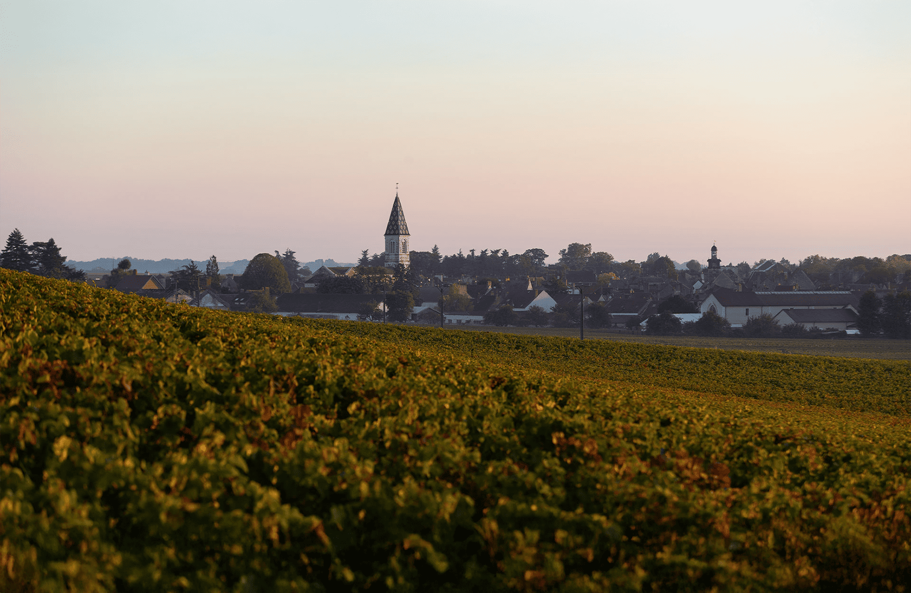 l’histoire du Domaine Henri Gouges