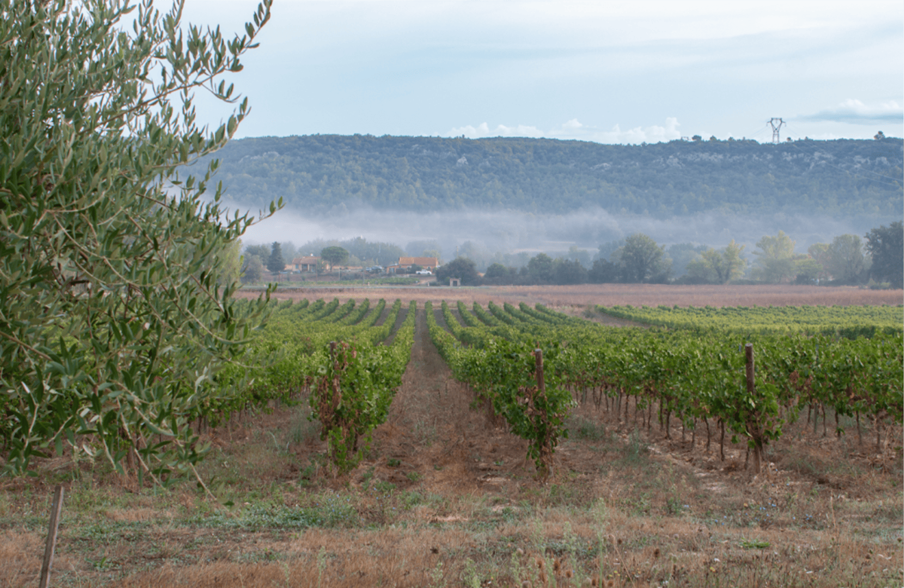 historien om Domaine de la Mongestine