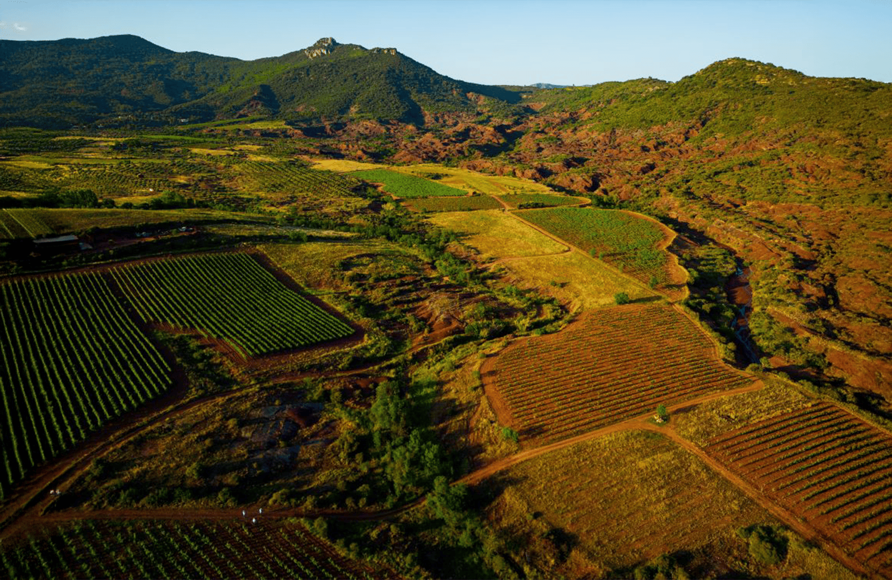l’histoire du Domaine Le Clos du Serres