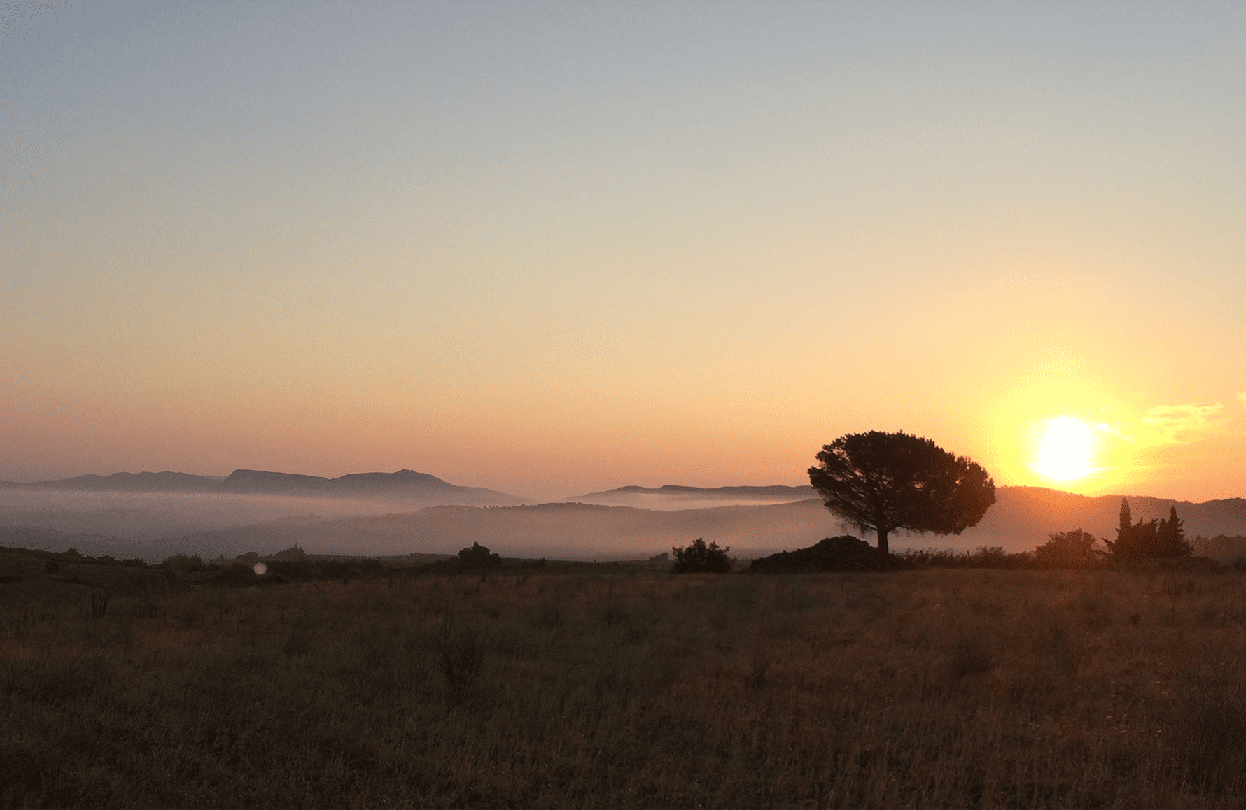 l’histoire du Domaine Le Roc Des Anges