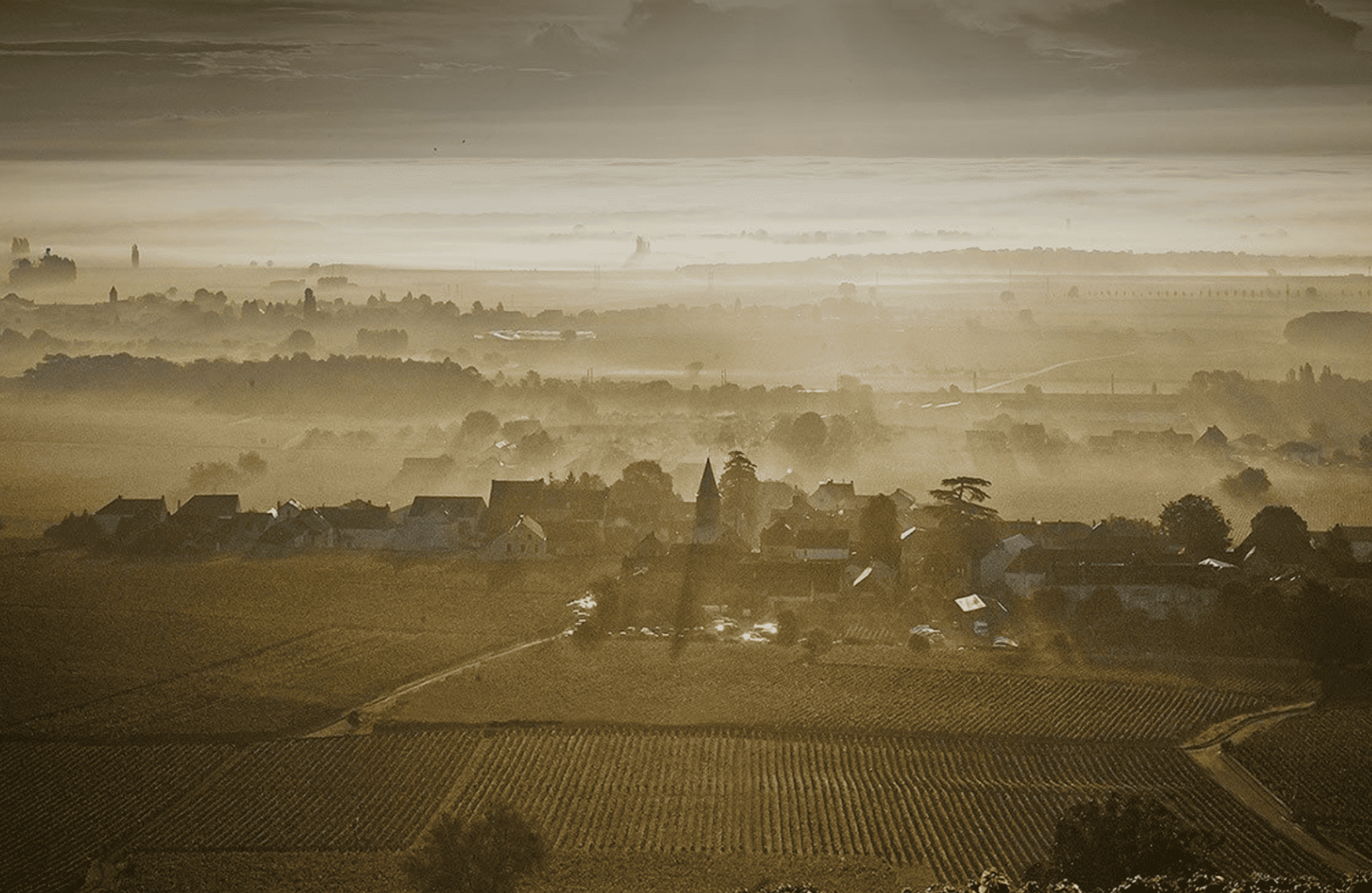 l’histoire du Domaine Méo-Camuzet