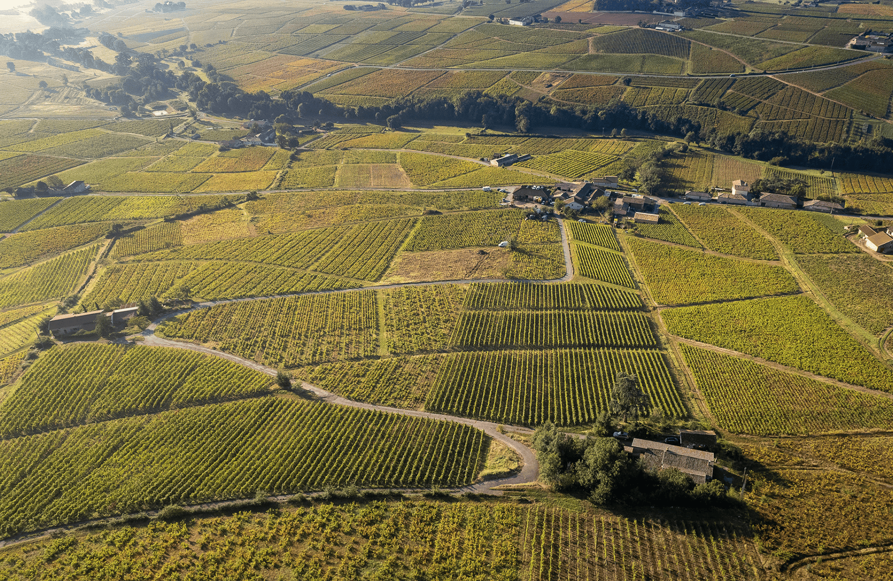 l’histoire du Domaine Pierre Cotton