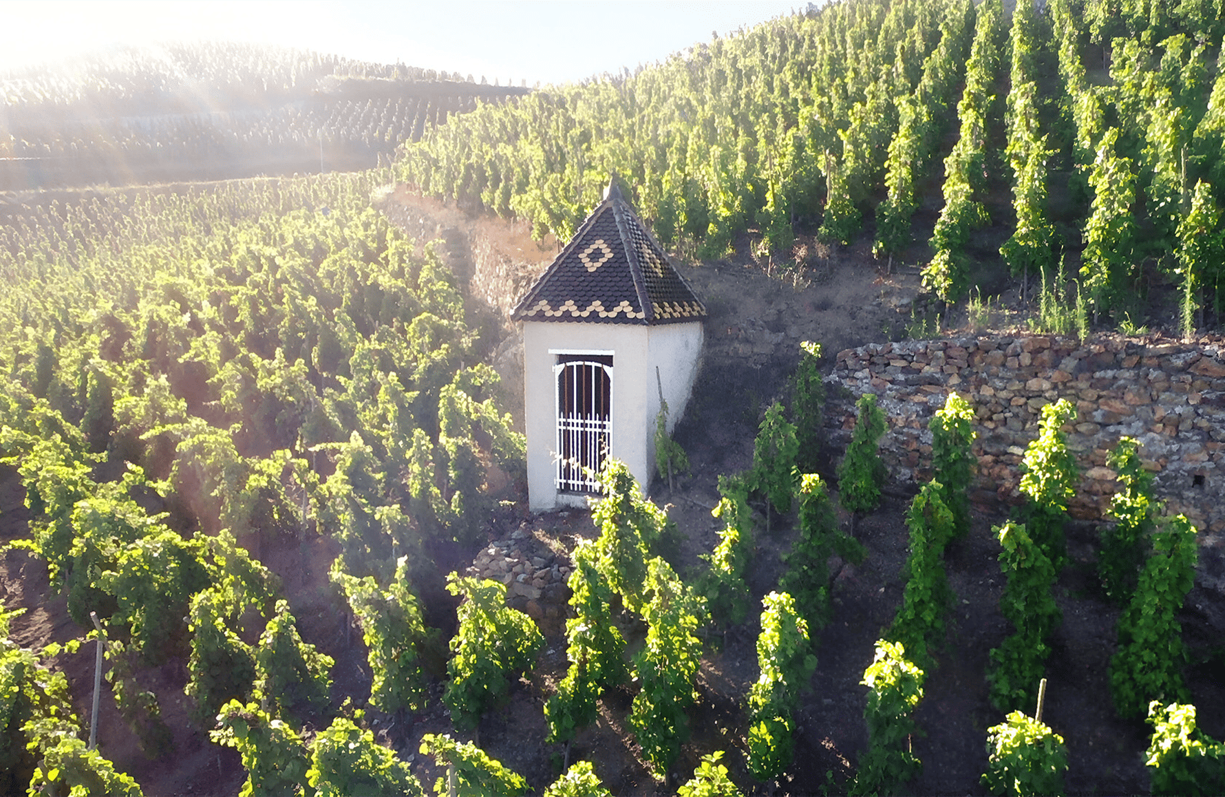 historien om Domaine Rostaing