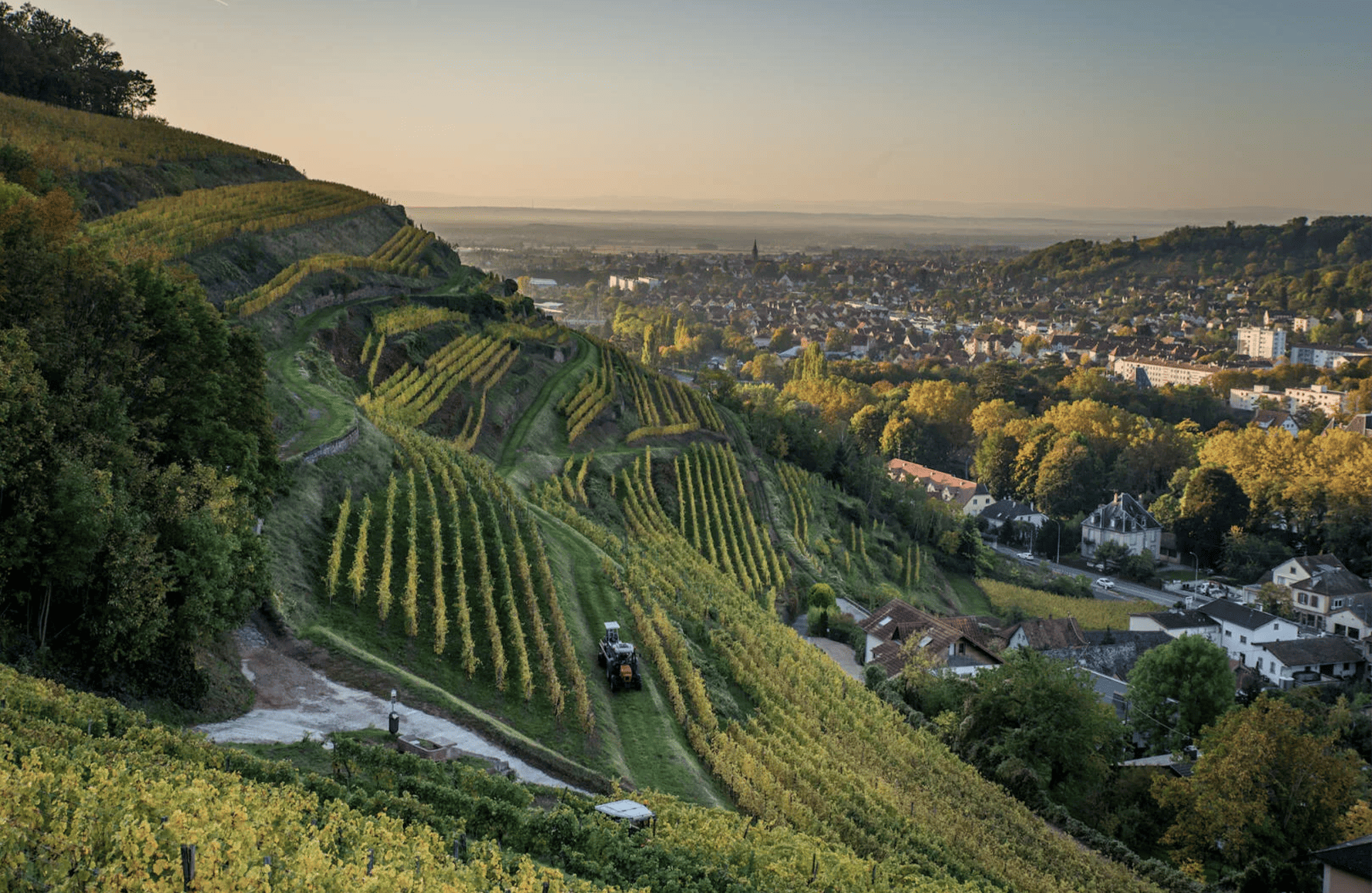 the story of Schlumberger Estate