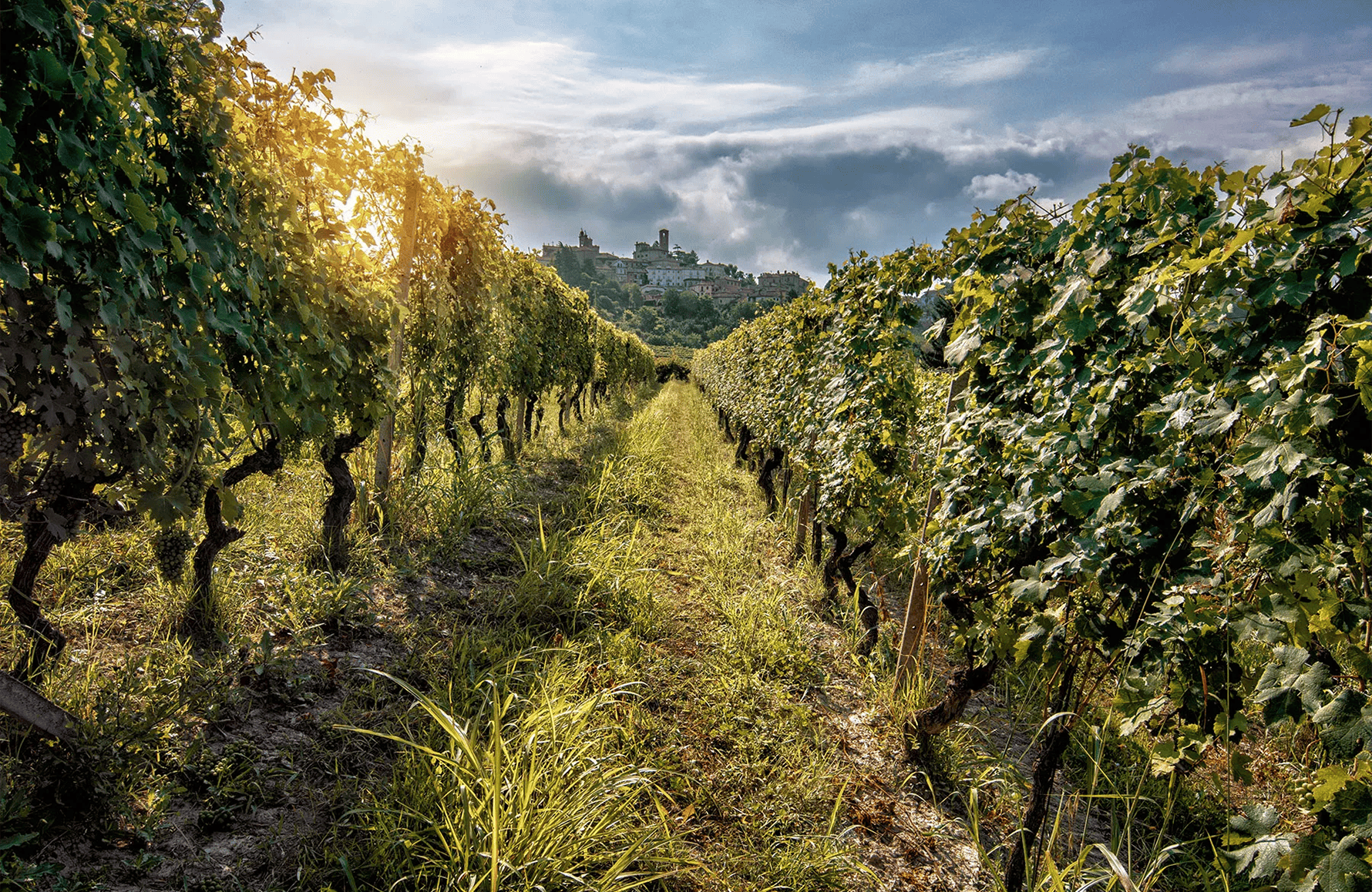 the story of La Spinetta - Italy