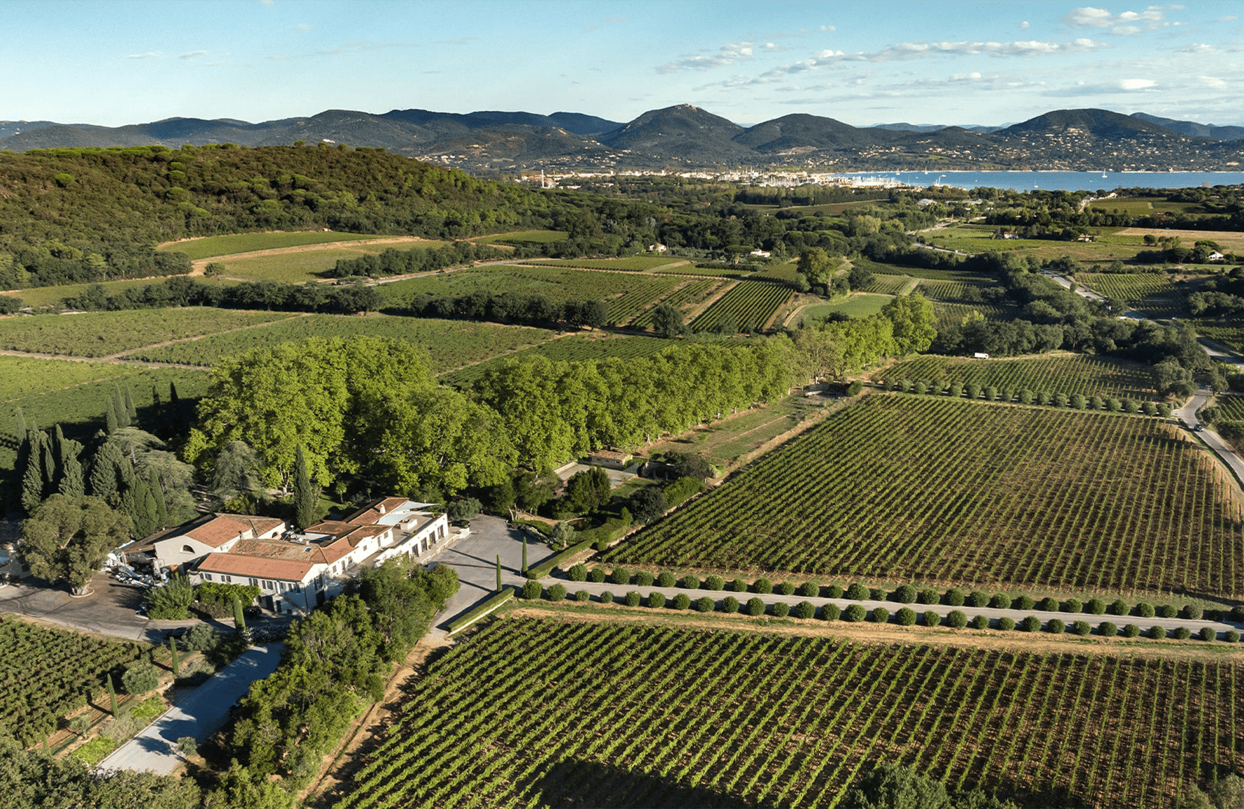 l’histoire du Minuty