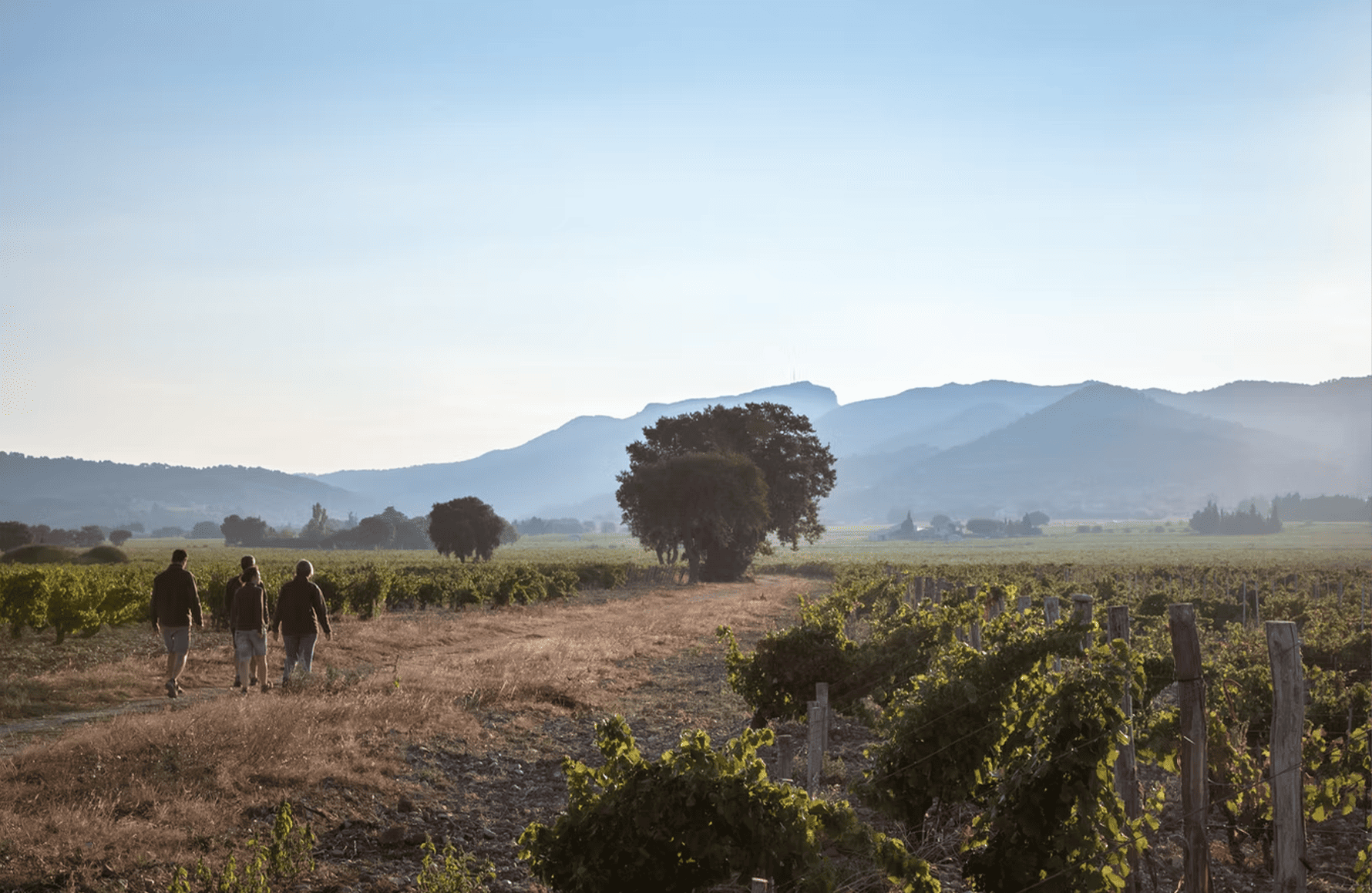 historien om Montirius