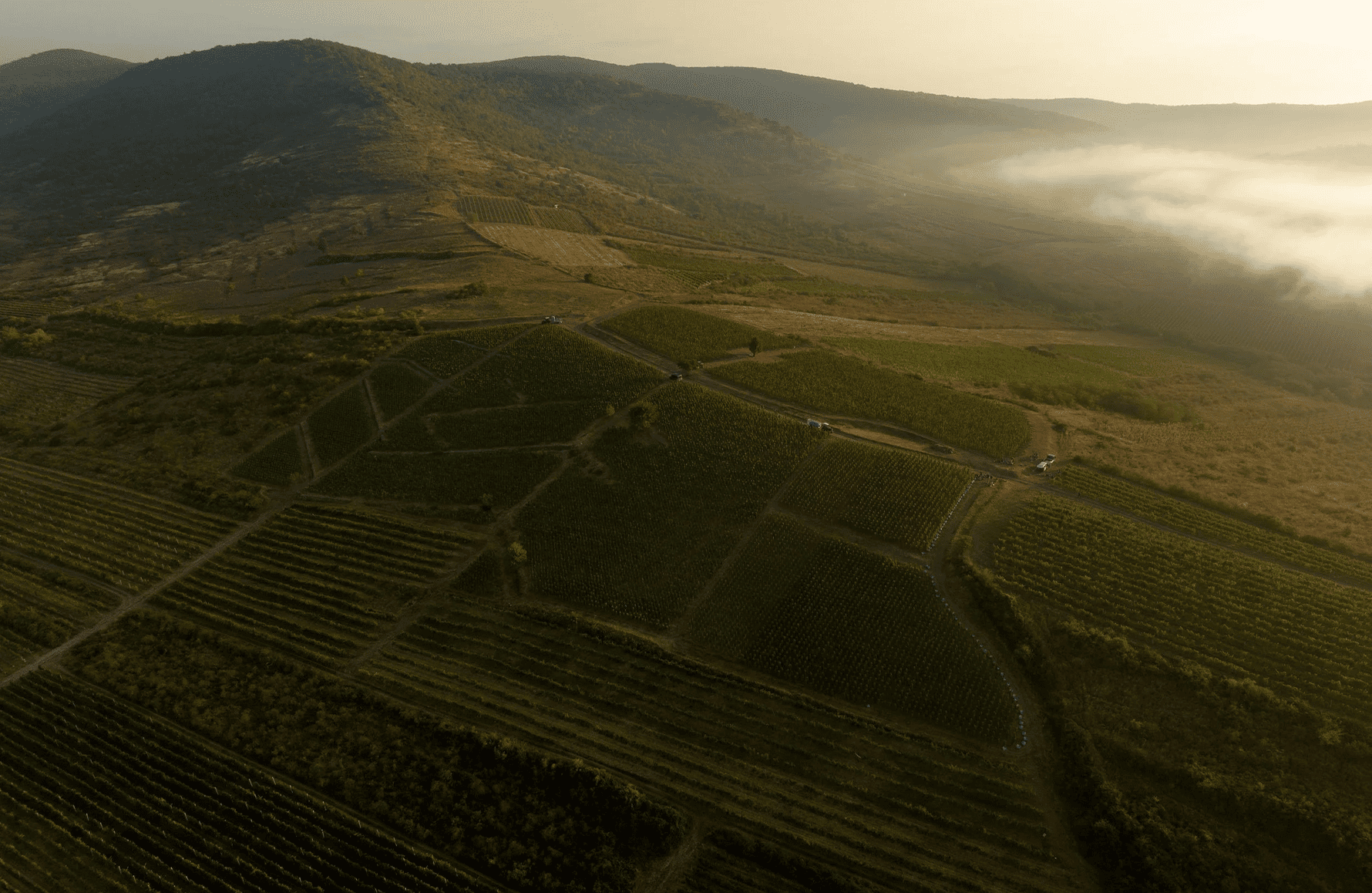 historien om Oremus - Hongrie