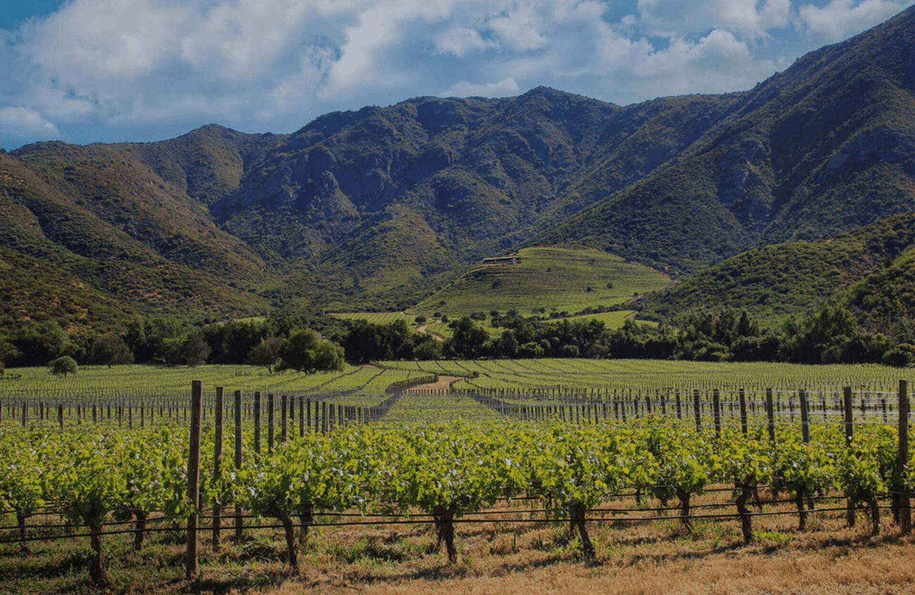 l’histoire du Seña - Chili