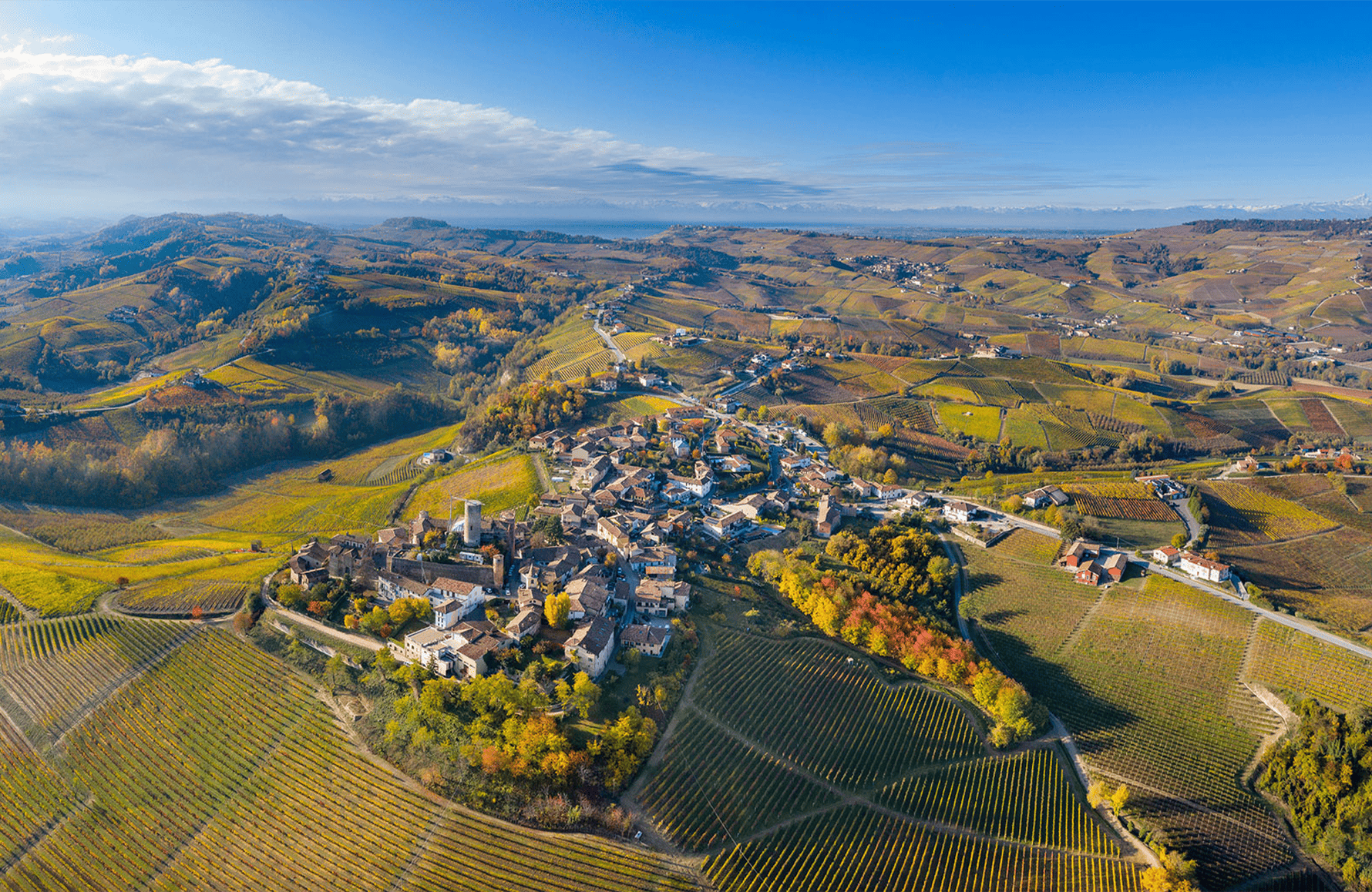 the story of Vietti - Italy