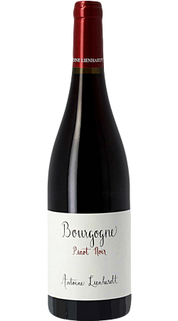 Domaine Antoine Lienhardt - Pinot noir 2022 - Bourgogne
